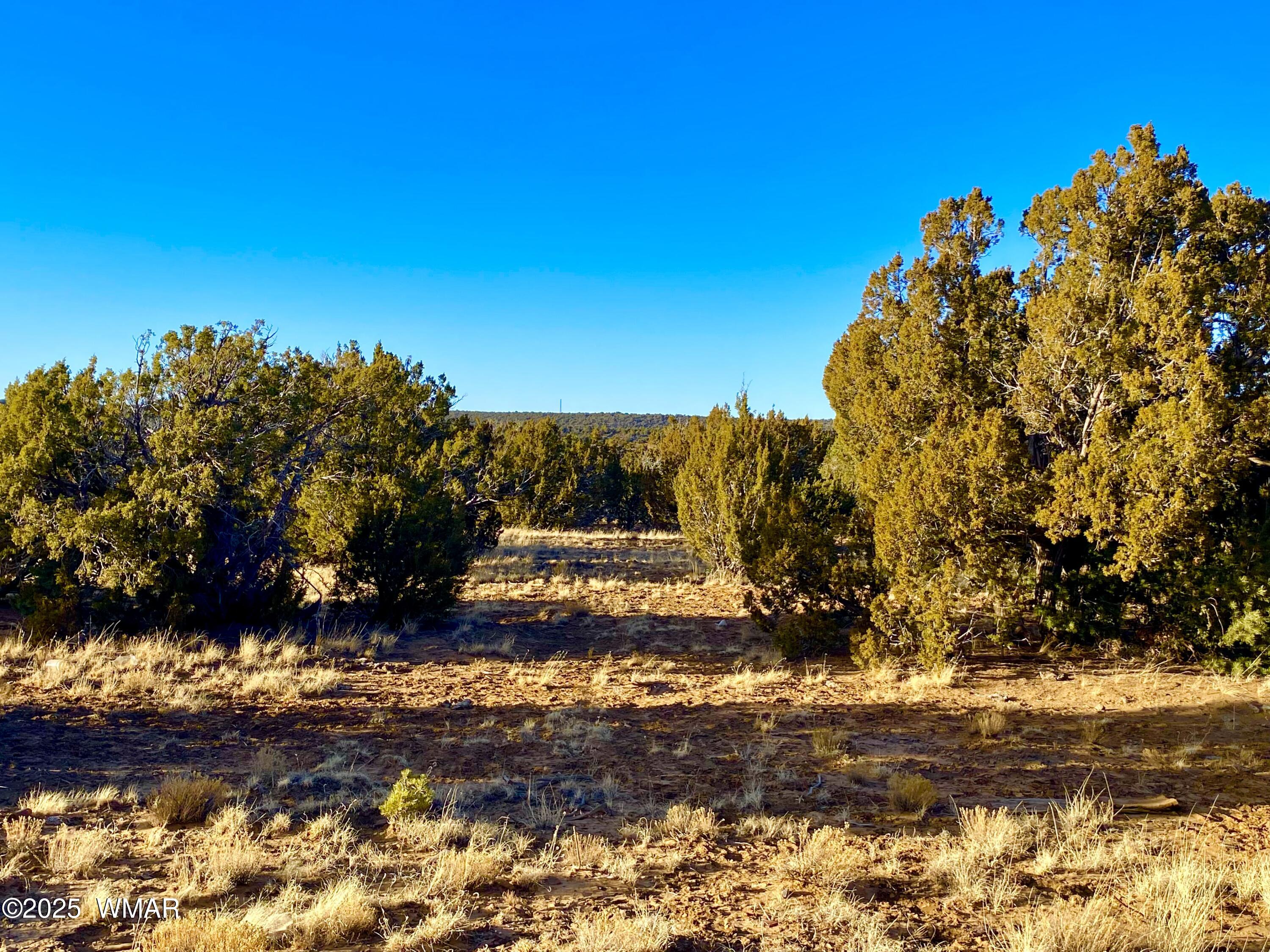 9 Co Road Concho, AZ 85924 - Photo 11 of 26 IMG_8513