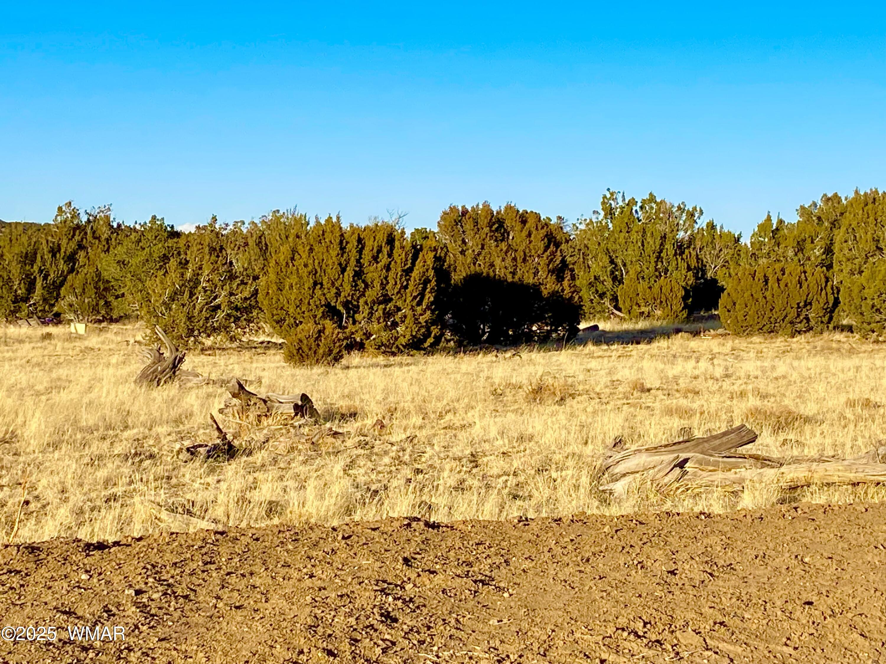9 Co Road Concho, AZ 85924 - Photo 13 of 26 IMG_8531