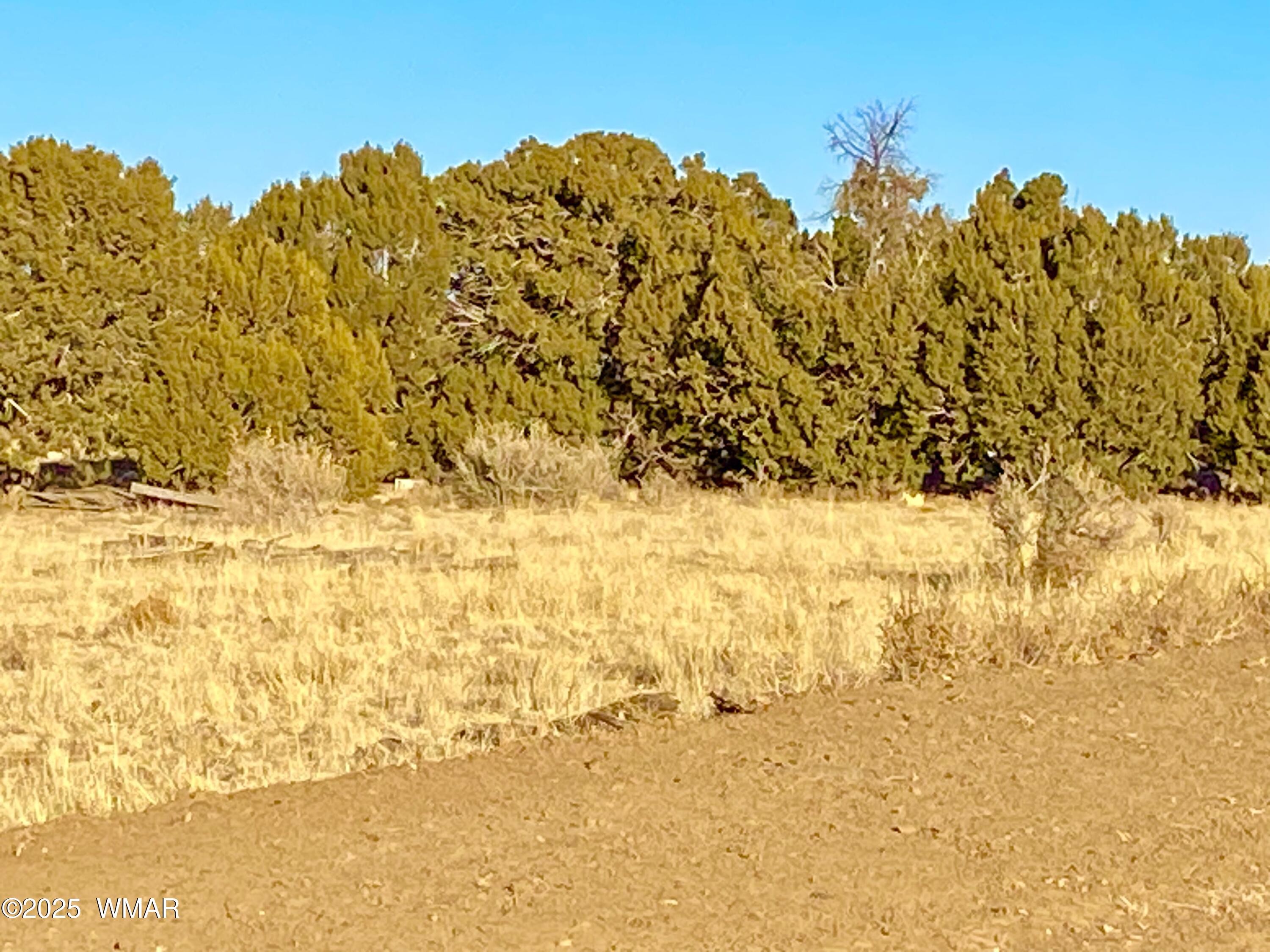 9 Co Road Concho, AZ 85924 - Photo 14 of 26 IMG_8532