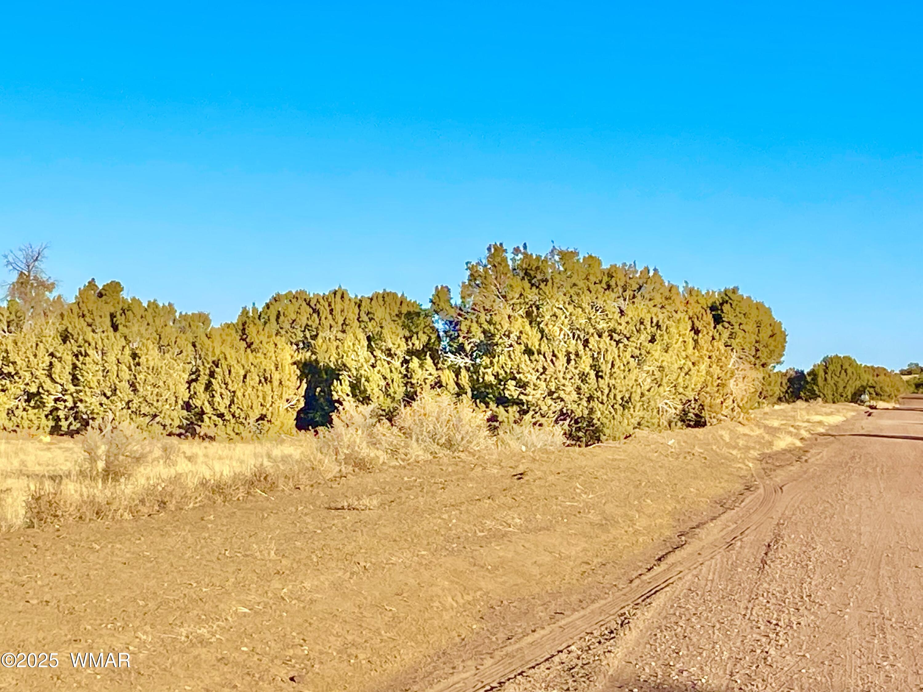 9 Co Road Concho, AZ 85924 - Photo 15 of 26 IMG_8533