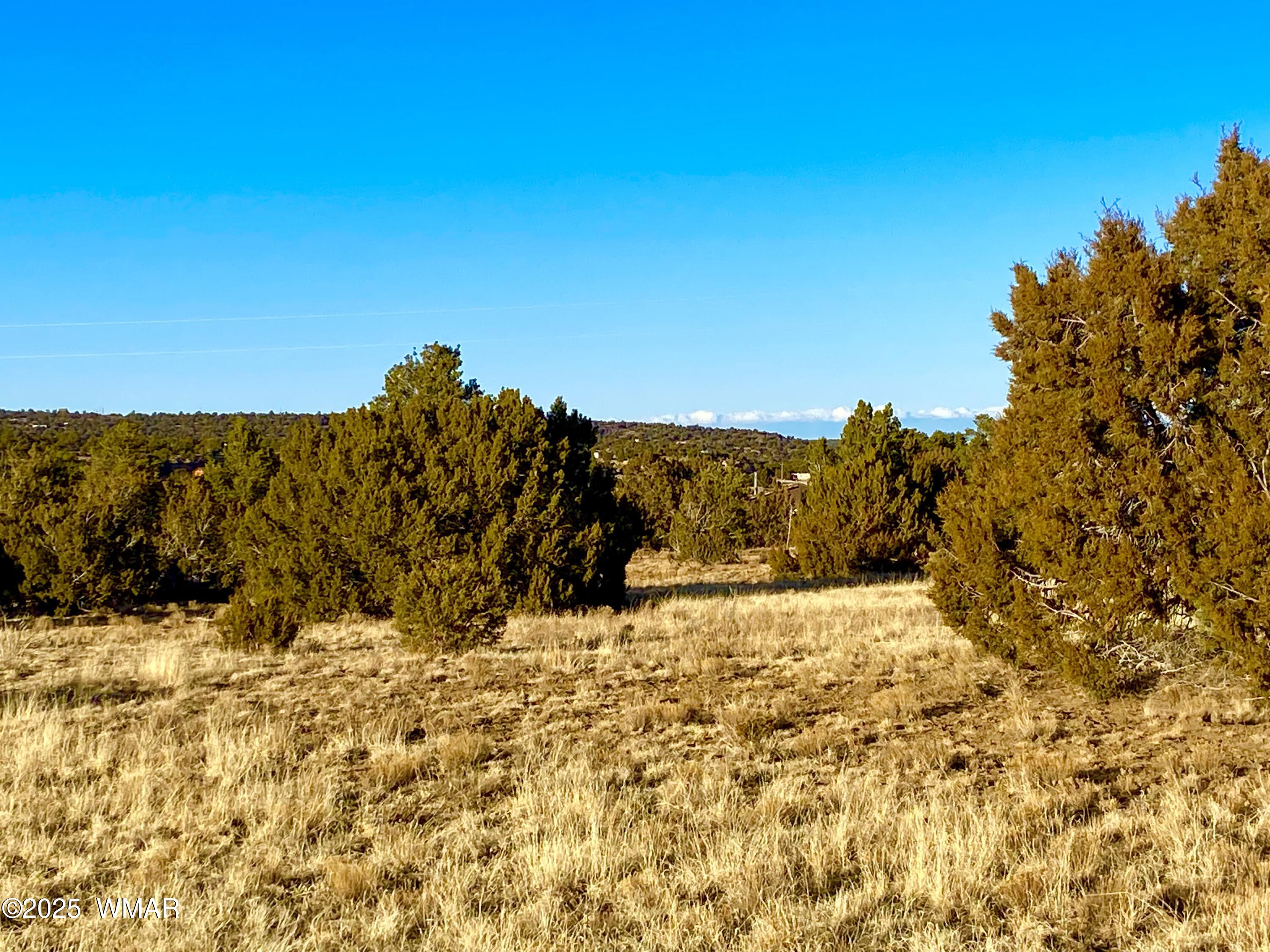 9 Co Road Concho, AZ 85924 - Photo 16 of 26 IMG_8523