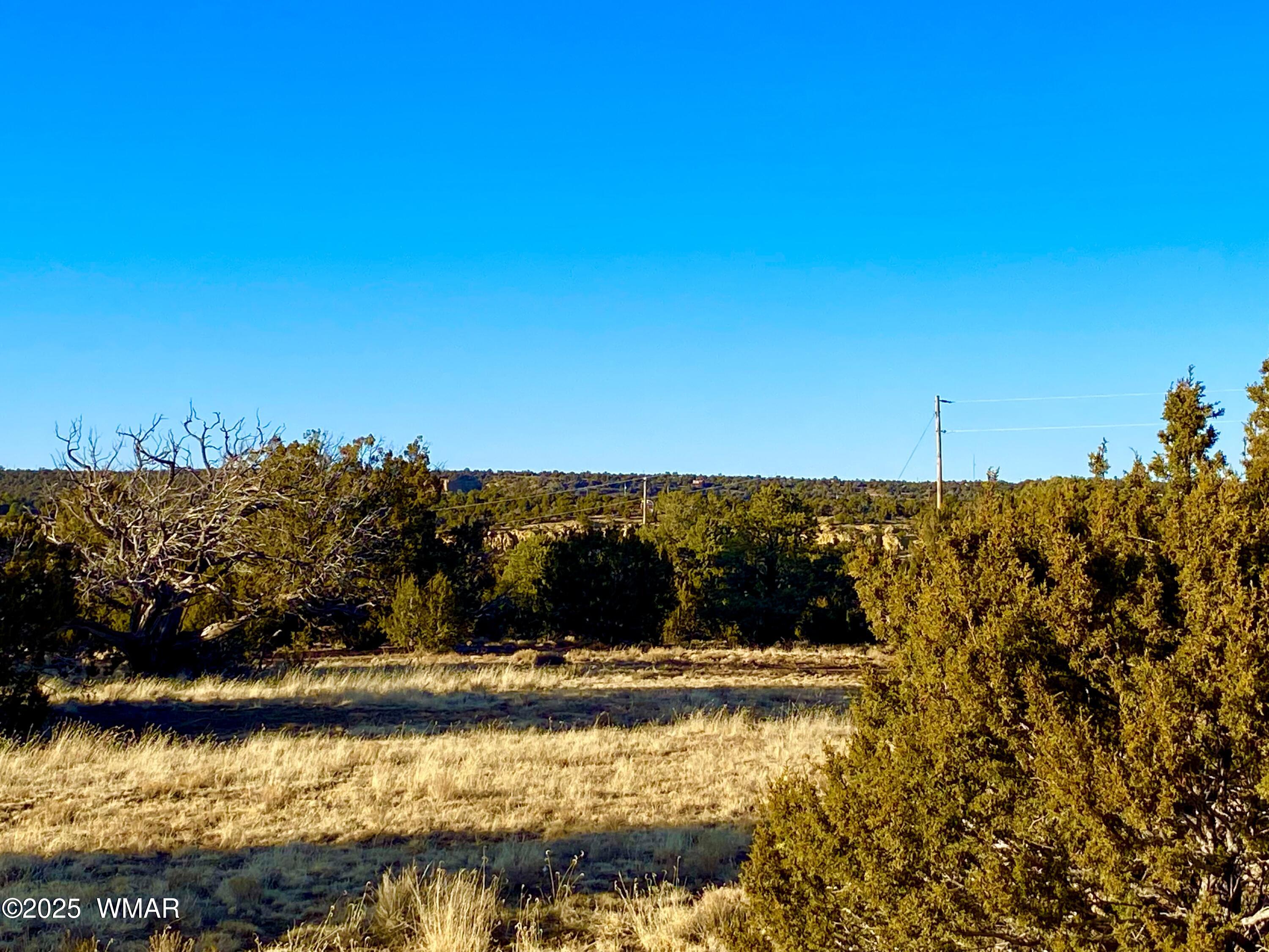 9 Co Road Concho, AZ 85924 - Photo 17 of 26 IMG_8518