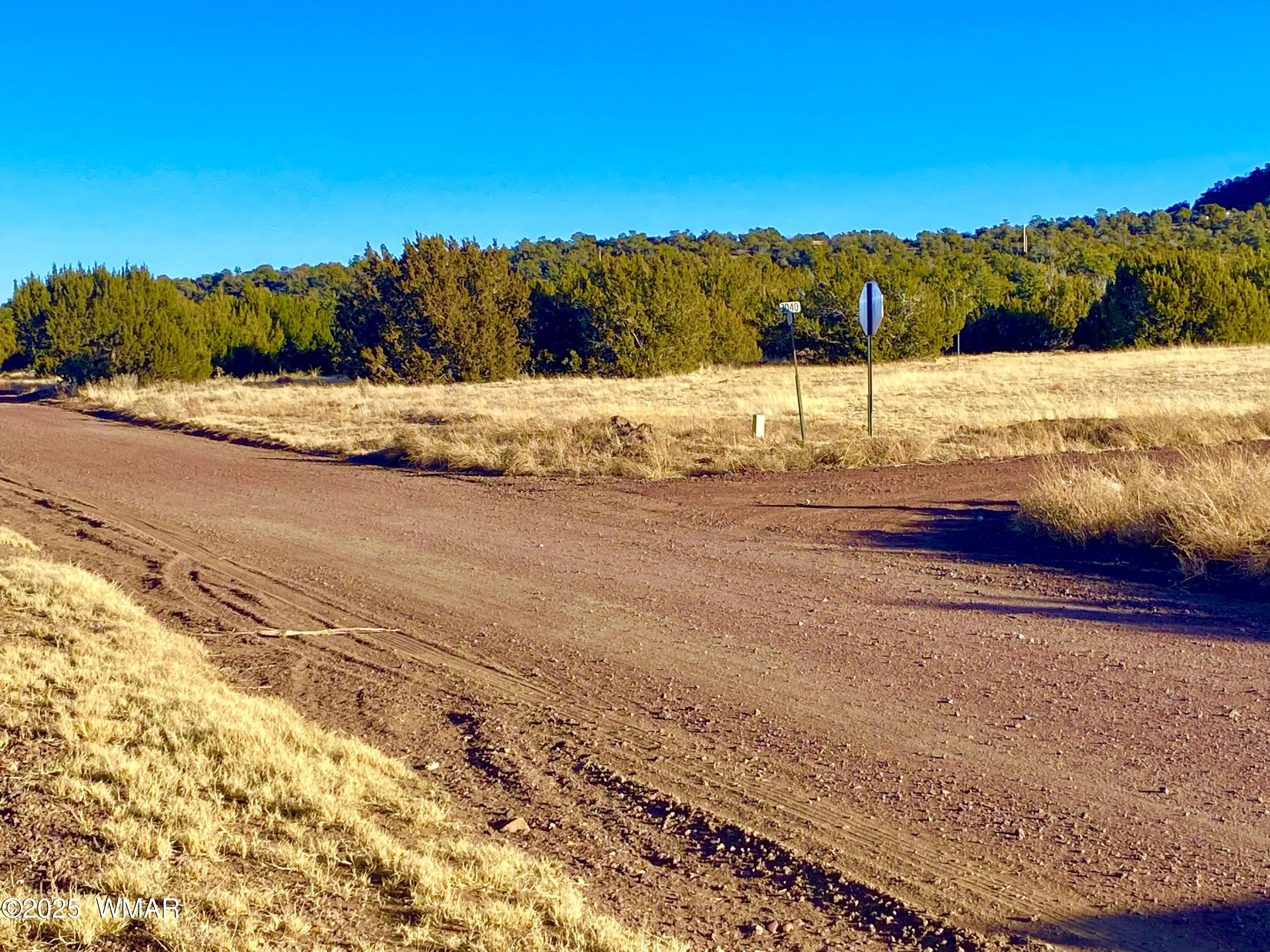 9 Co Road Concho, AZ 85924 - Photo 18 of 26 IMG_8510