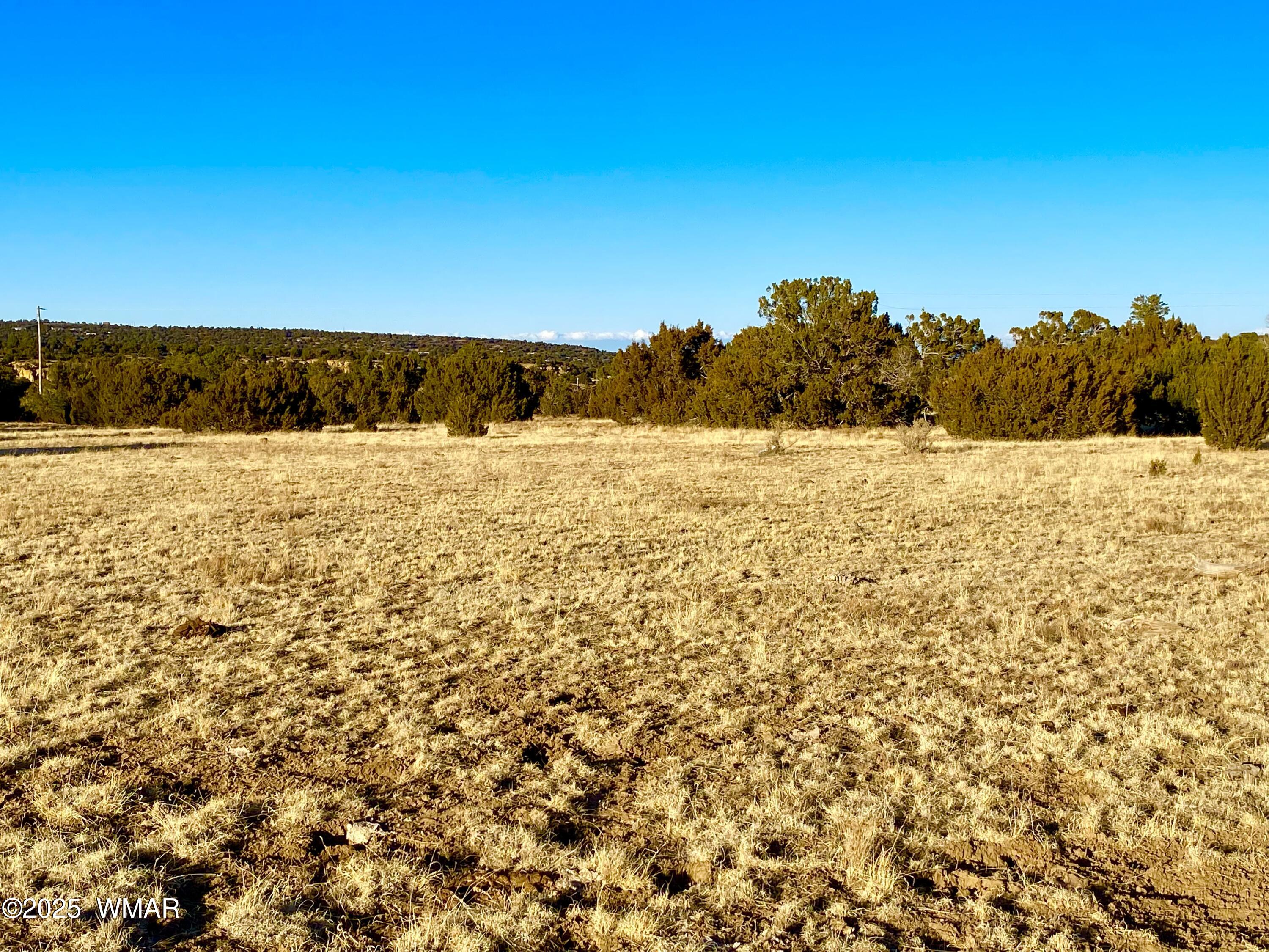 9 Co Road Concho, AZ 85924 - Photo 19 of 26 IMG_8525