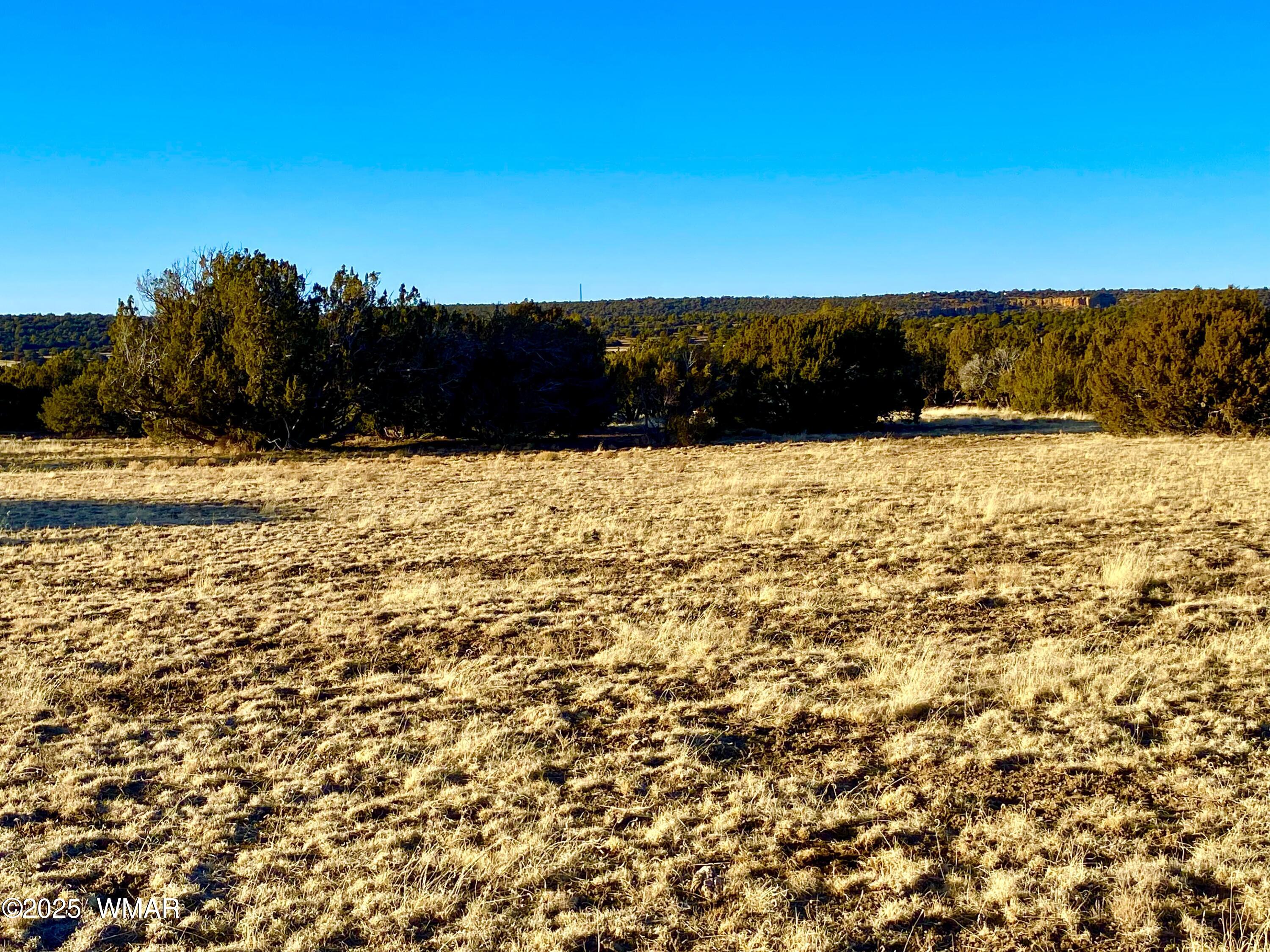 9 Co Road Concho, AZ 85924 - Photo 20 of 26 IMG_8526