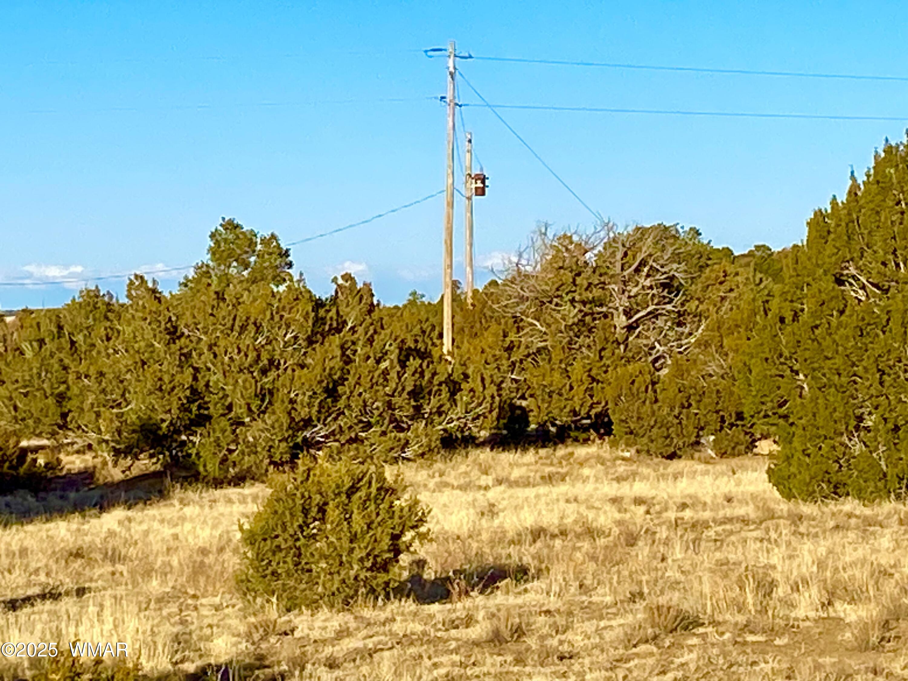 9 Co Road Concho, AZ 85924 - Photo 2 of 26 IMG_8517