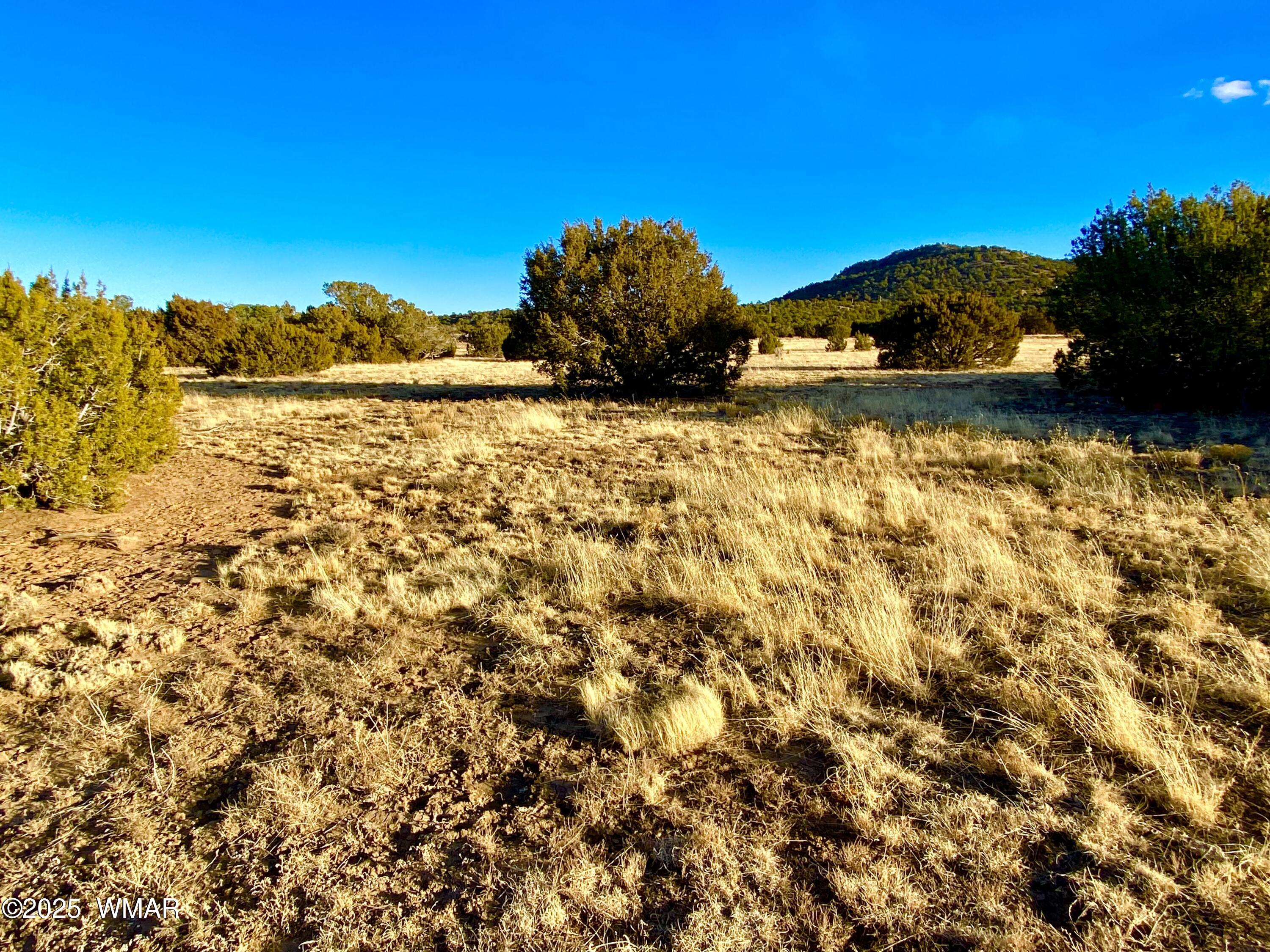 9 Co Road Concho, AZ 85924 - Photo 21 of 26 IMG_8515