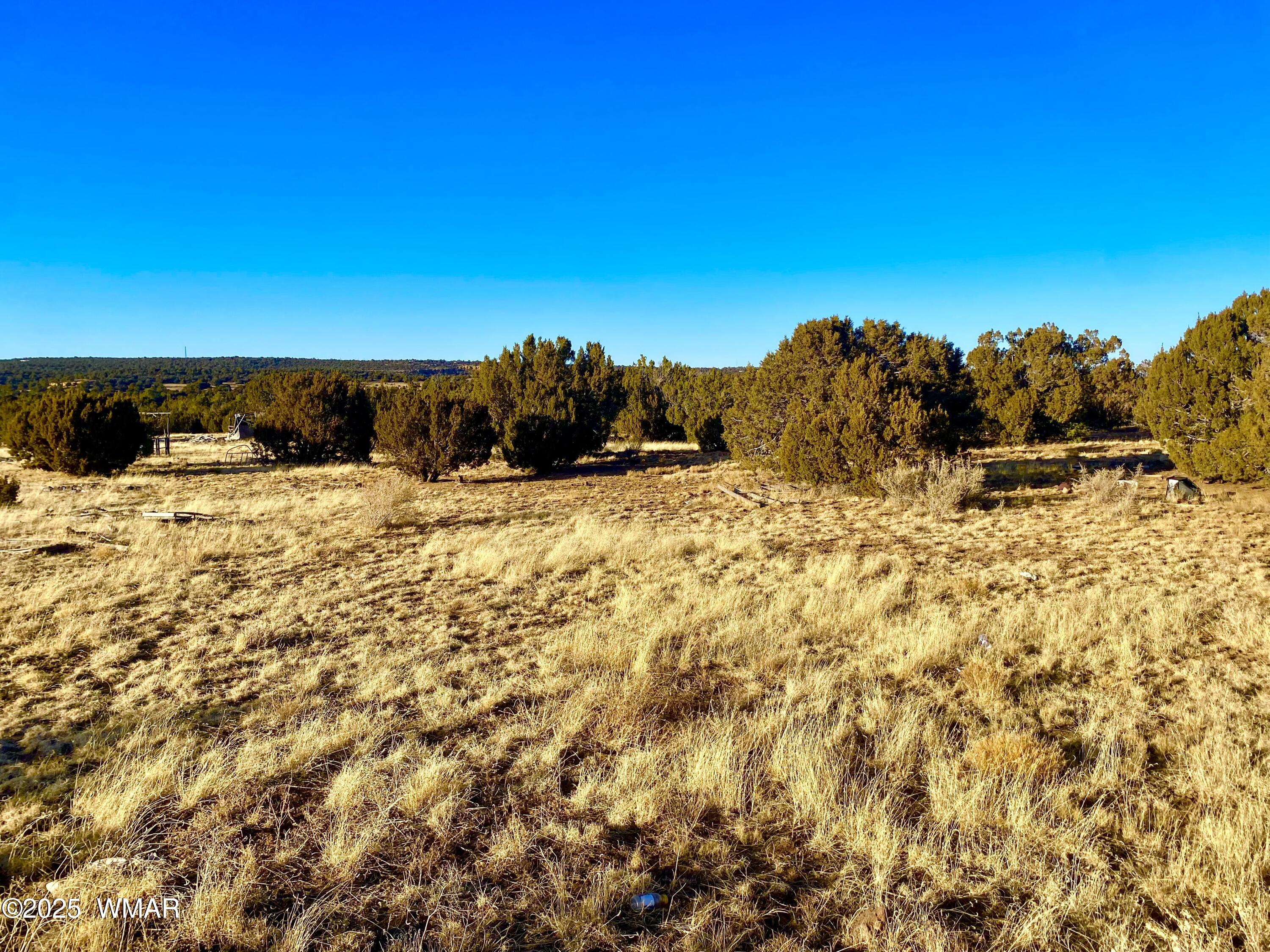 9 Co Road Concho, AZ 85924 - Photo 23 of 26 IMG_8512