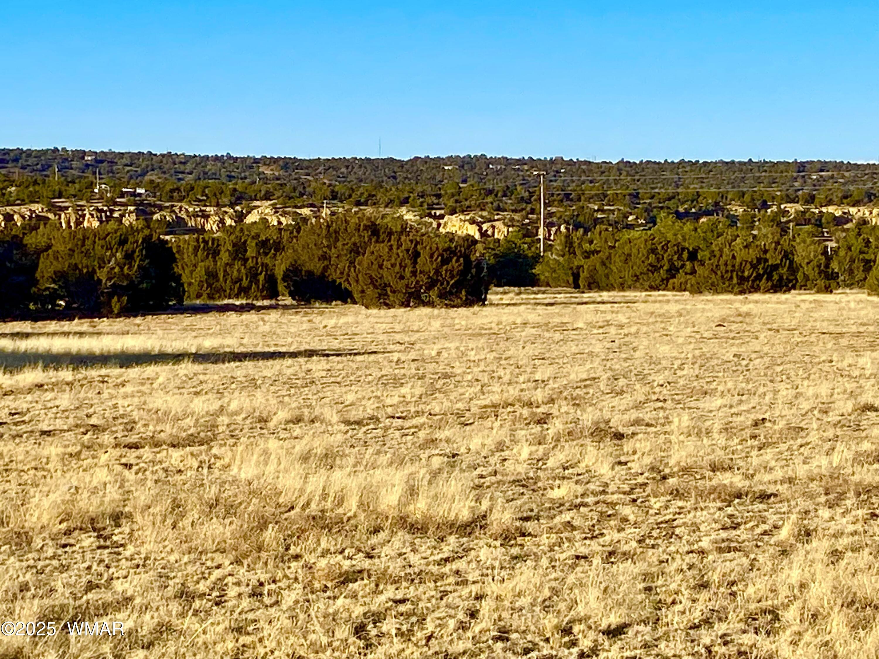 9 Co Road Concho, AZ 85924 - Photo 24 of 26 IMG_8506