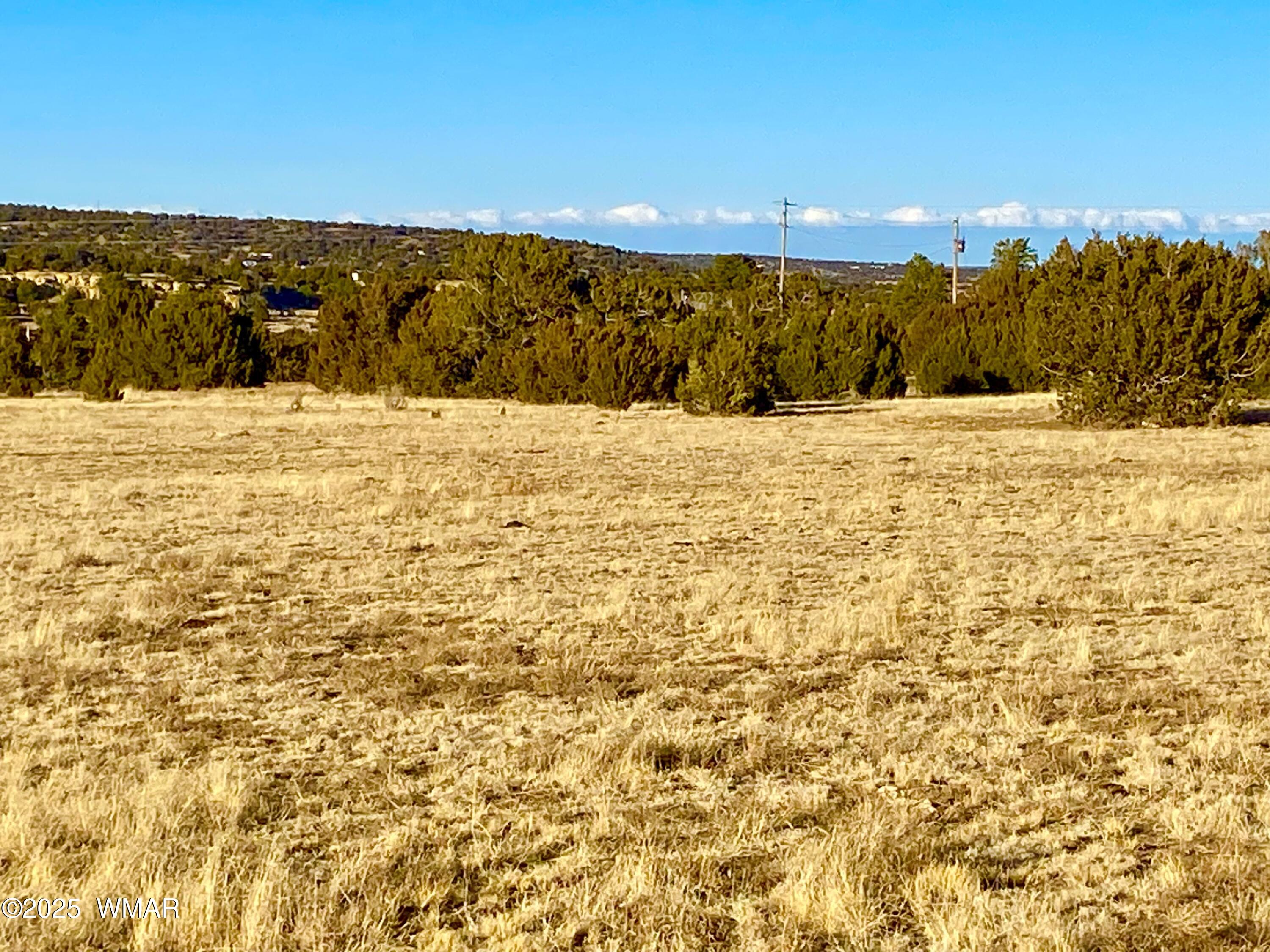 9 Co Road Concho, AZ 85924 - Photo 25 of 26 IMG_8507