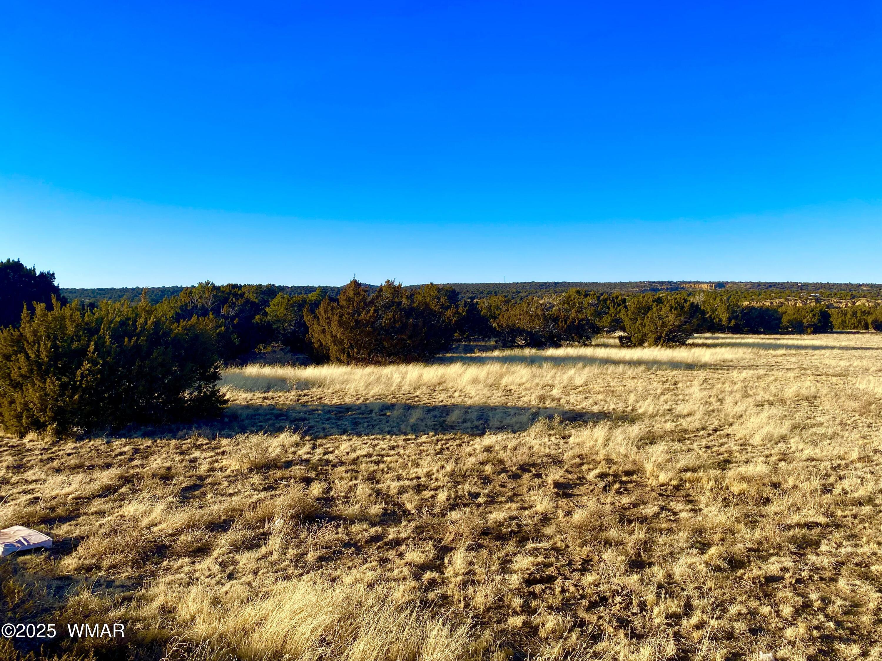 9 Co Road Concho, AZ 85924 - Photo 26 of 26 IMG_8503