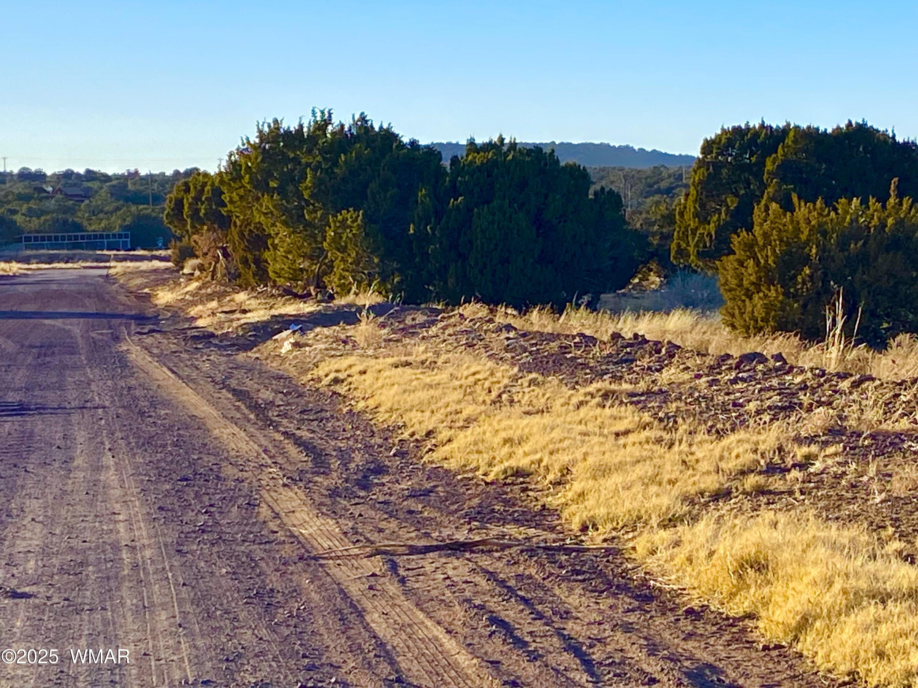 9 Co Road Concho, AZ 85924 - Photo 3 of 26 IMG_8529