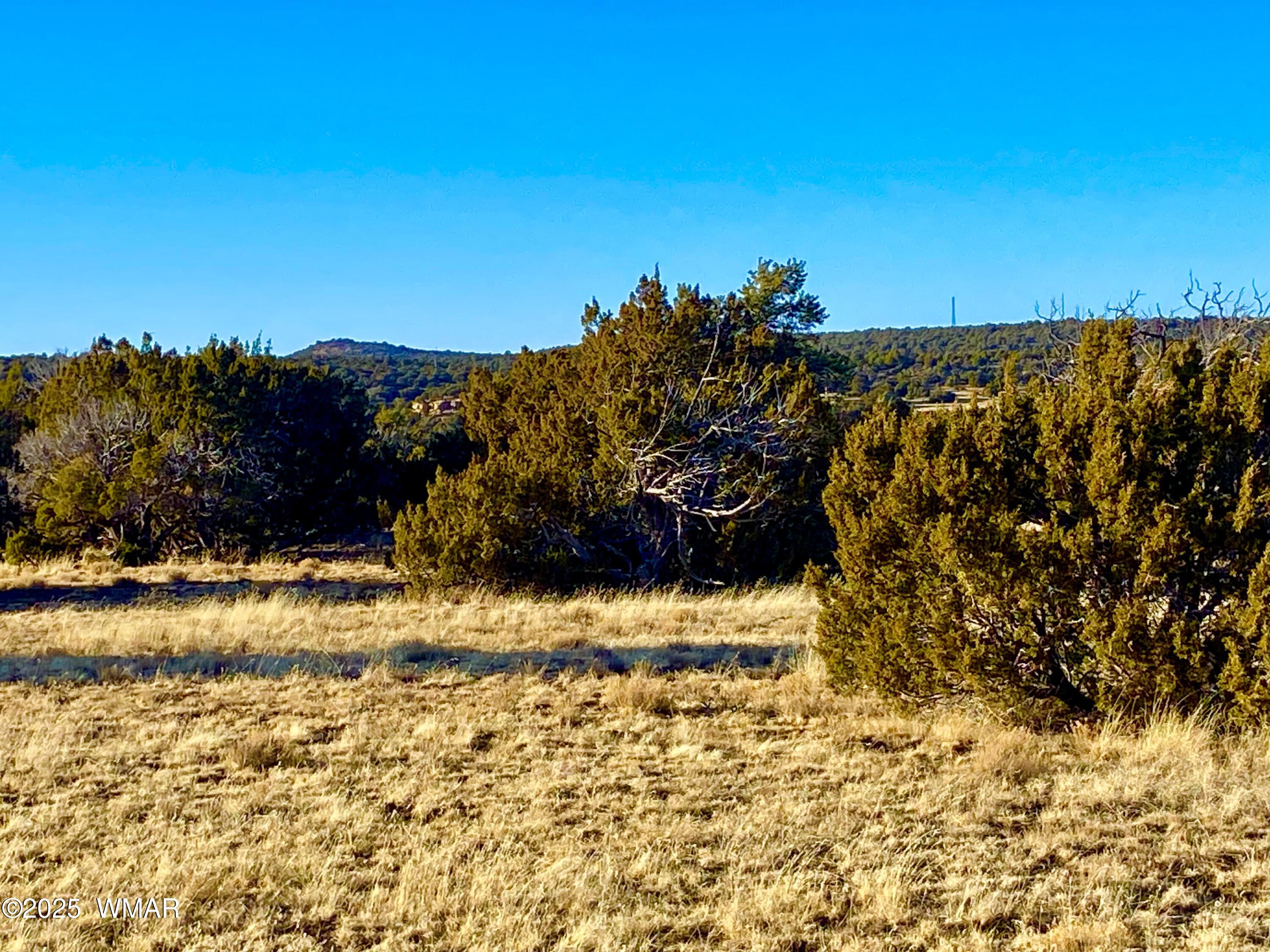 9 Co Road Concho, AZ 85924 - Photo 4 of 26 IMG_8522