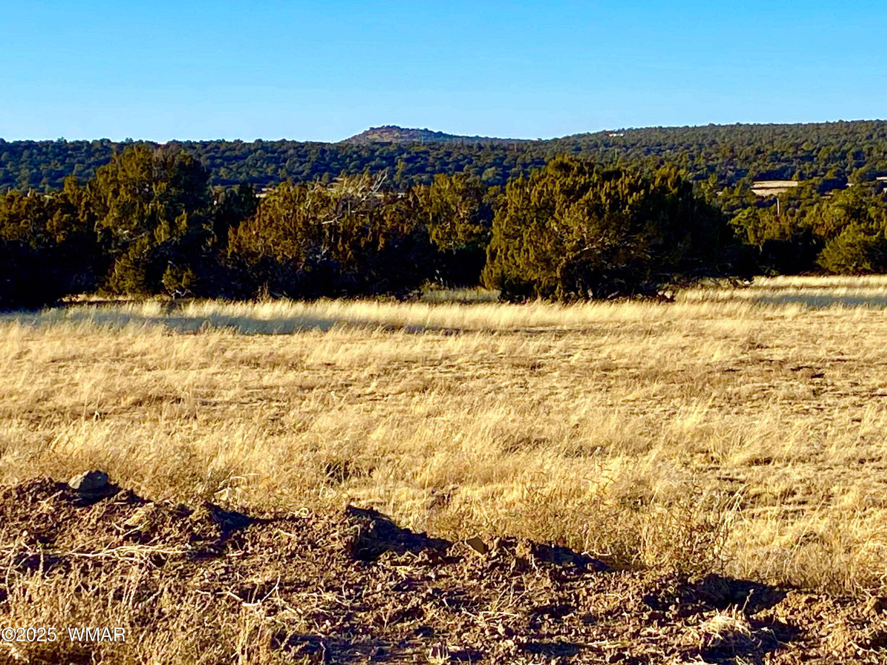9 Co Road Concho, AZ 85924 - Photo 5 of 26 IMG_8528