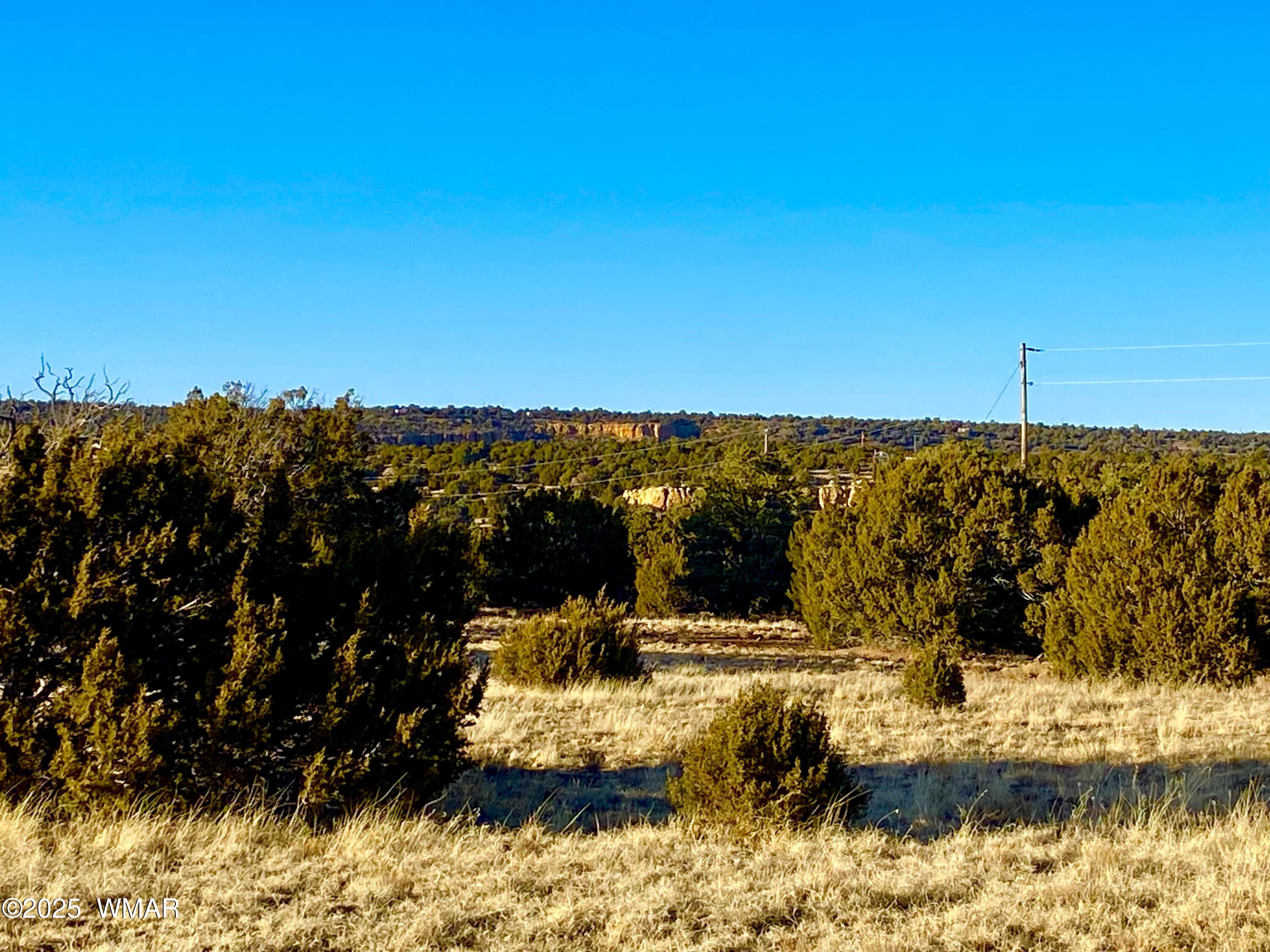 9 Co Road Concho, AZ 85924 - Photo 6 of 26 IMG_8521