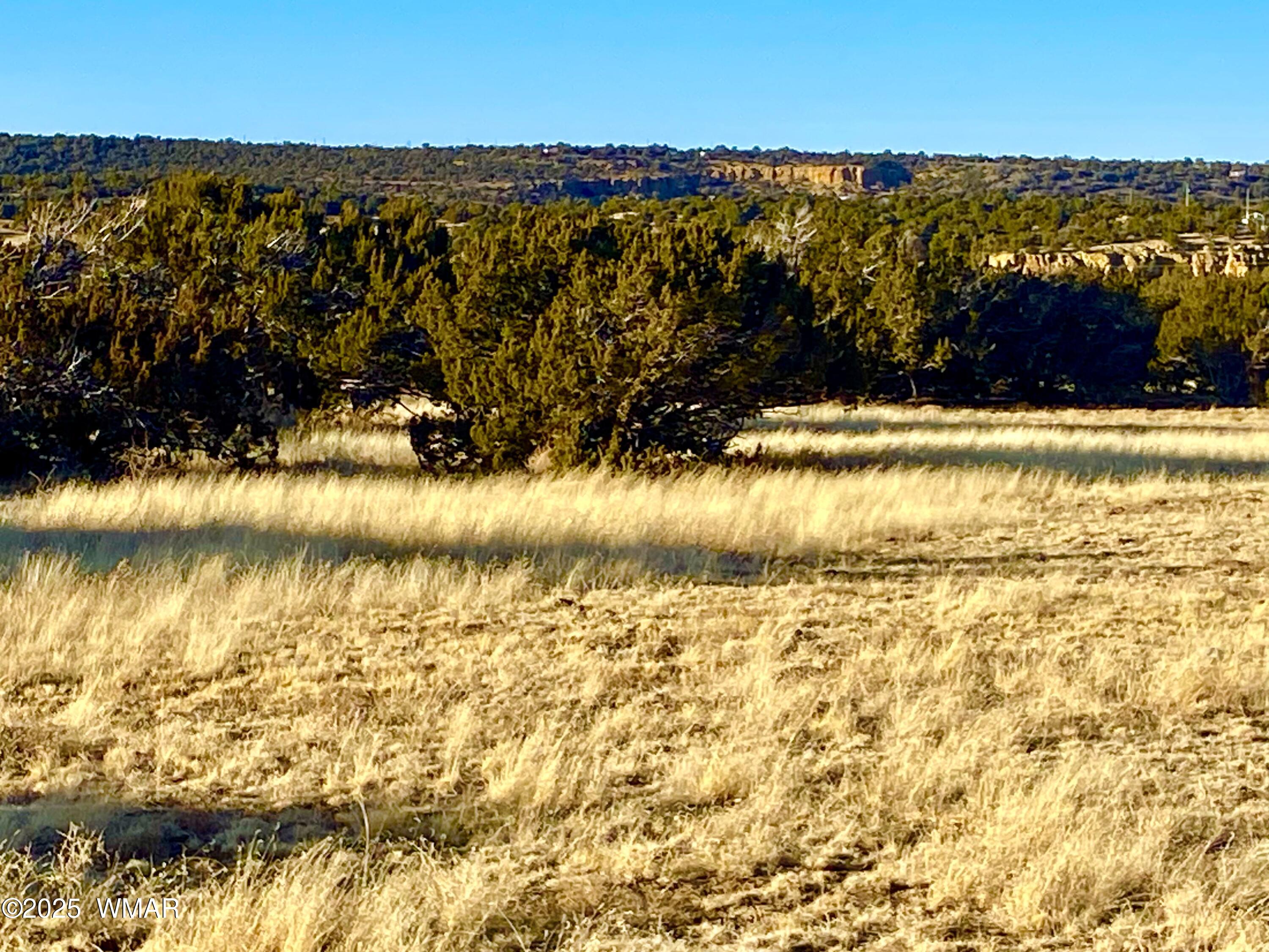 9 Co Road Concho, AZ 85924 - Photo 7 of 26 IMG_8504