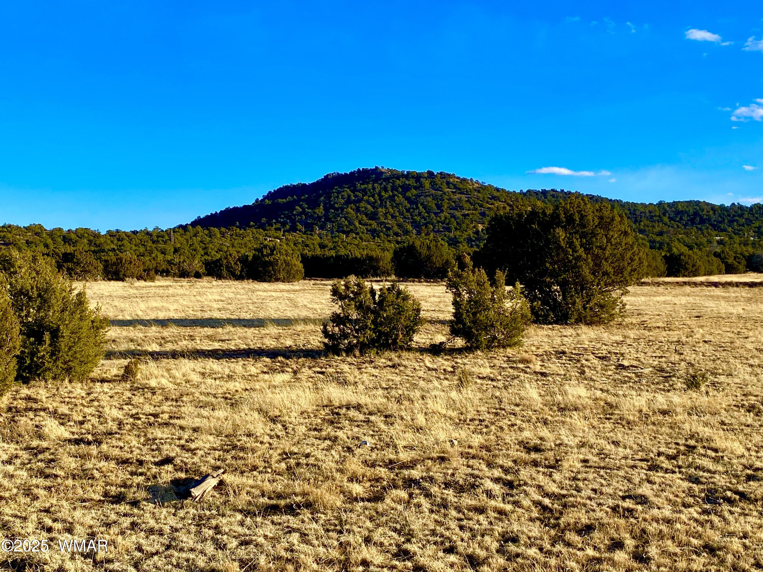 9 Co Road Concho, AZ 85924 - Photo 10 of 26 IMG_8524