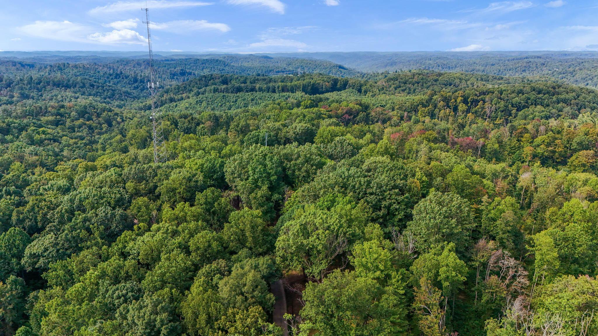 24601 Pole Ridge Road South Bloomingville, OH 43152 - Photo 45 of 46 DJI_20260831104810_0445_D