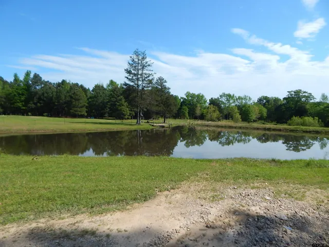 a view of a lake with a yard and large trees