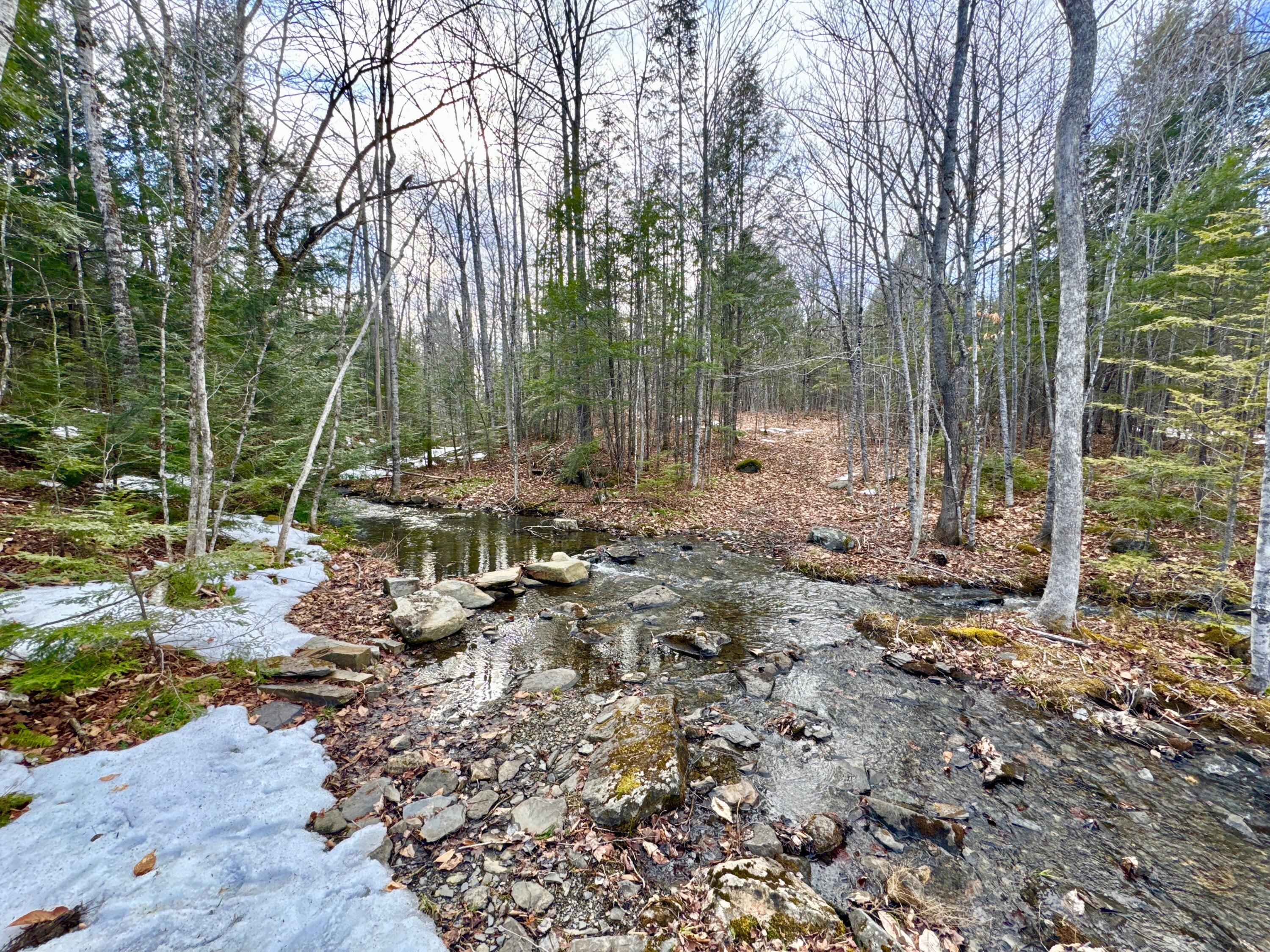 1301 Milo Road Sebec, ME 04481 - Photo 3 of 7