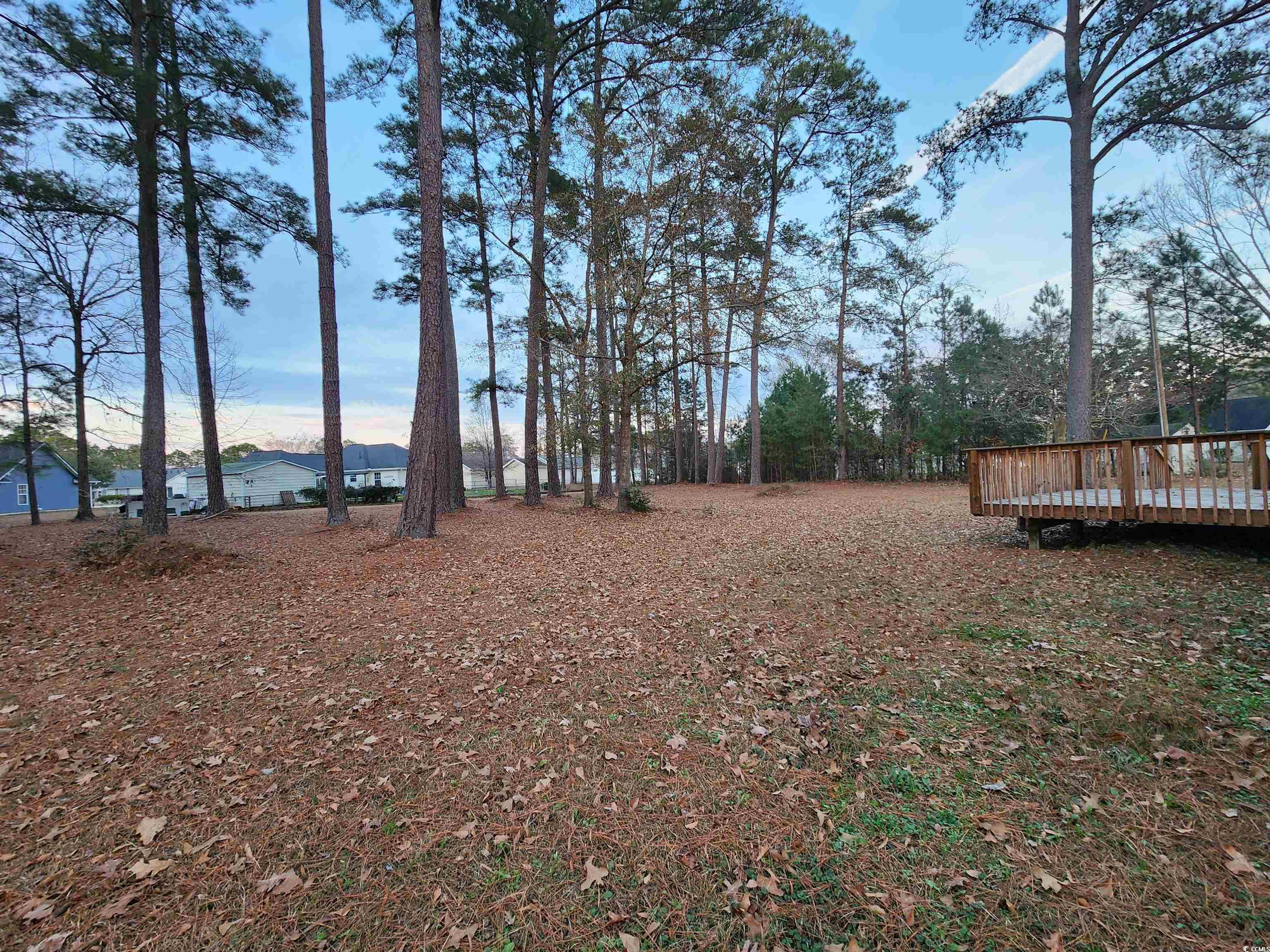 2108 Cultra Road Conway, SC 29526 - Photo 12 of 39