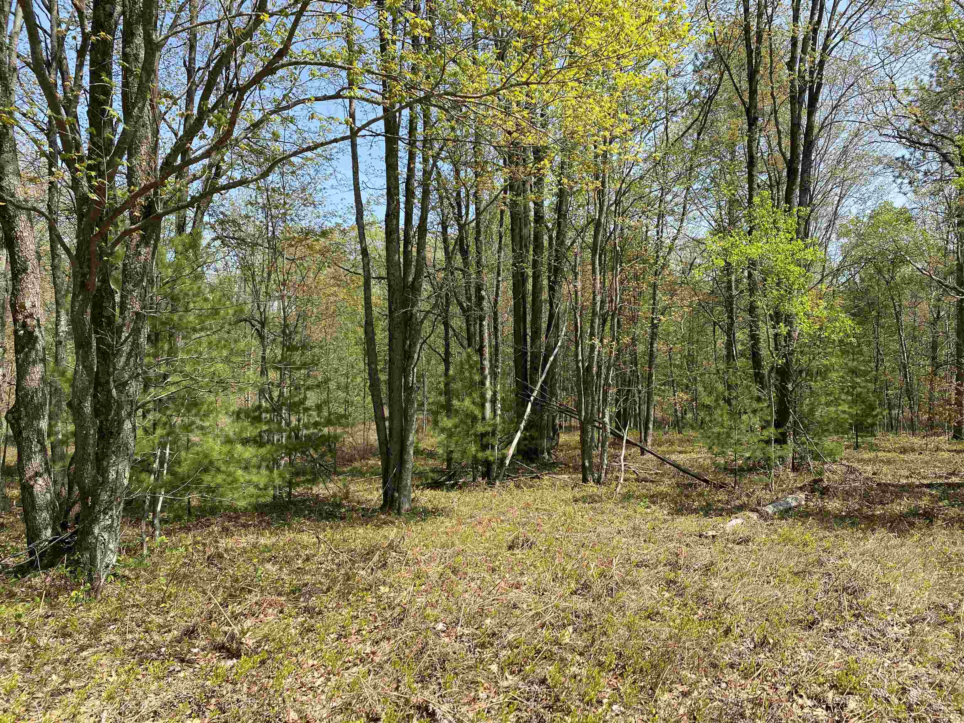47 South 47 3/4 Road, Unit FOREST DRIVE LOT: 4 Cadillac, MI 49601 - Photo 7 of 14