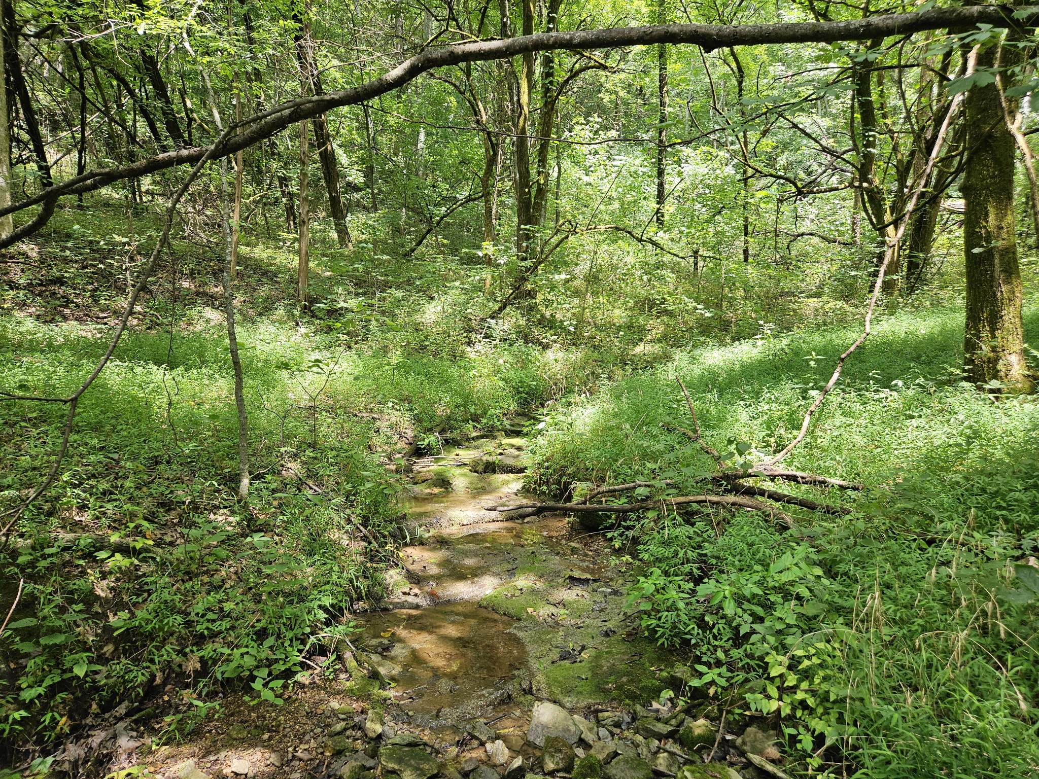 0 Ward Hollow Road Watertown, TN 37184 - Photo 23 of 30 Gallery Image 23