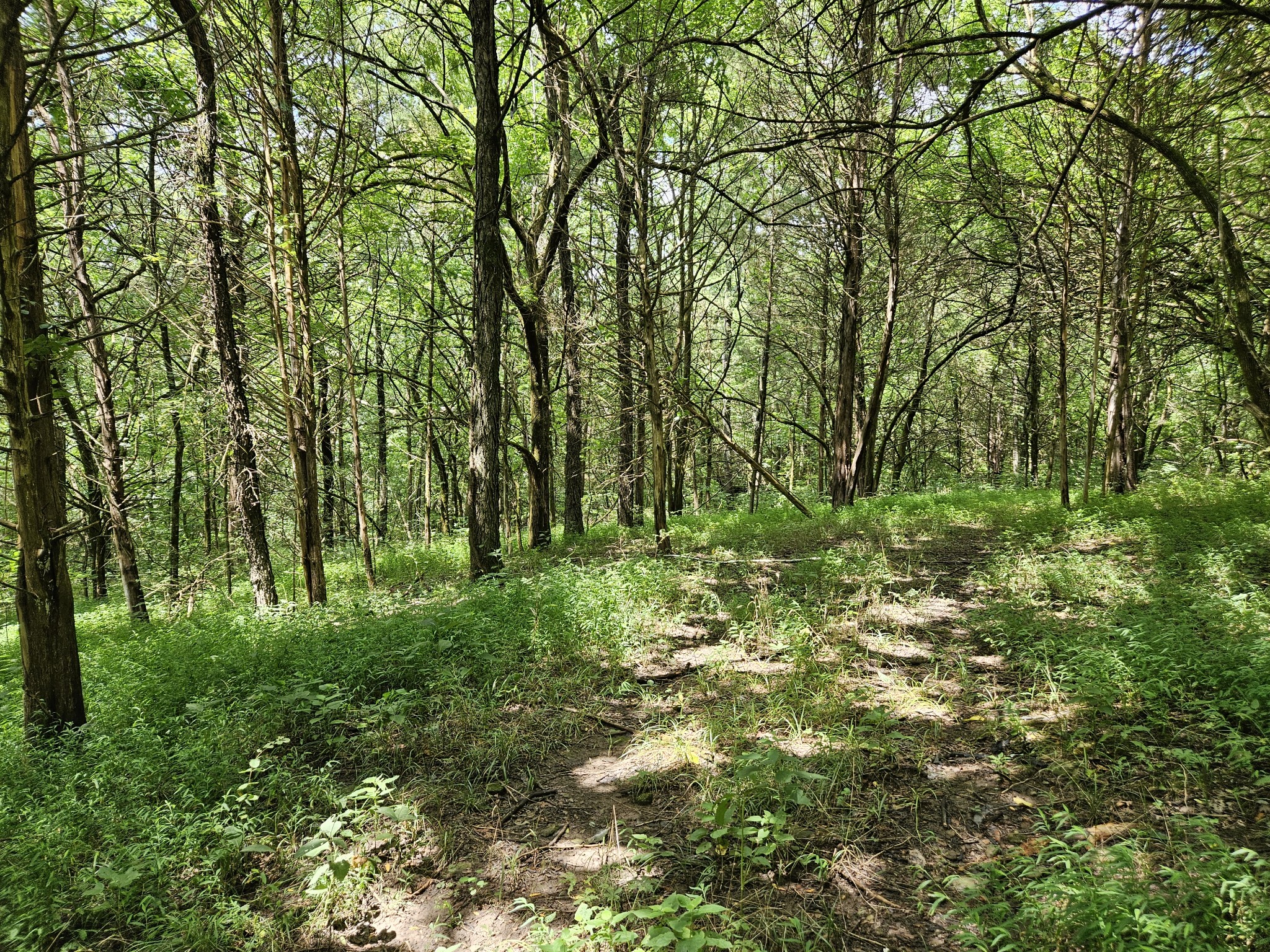 0 Ward Hollow Road Watertown, TN 37184 - Photo 27 of 30 Gallery Image 27