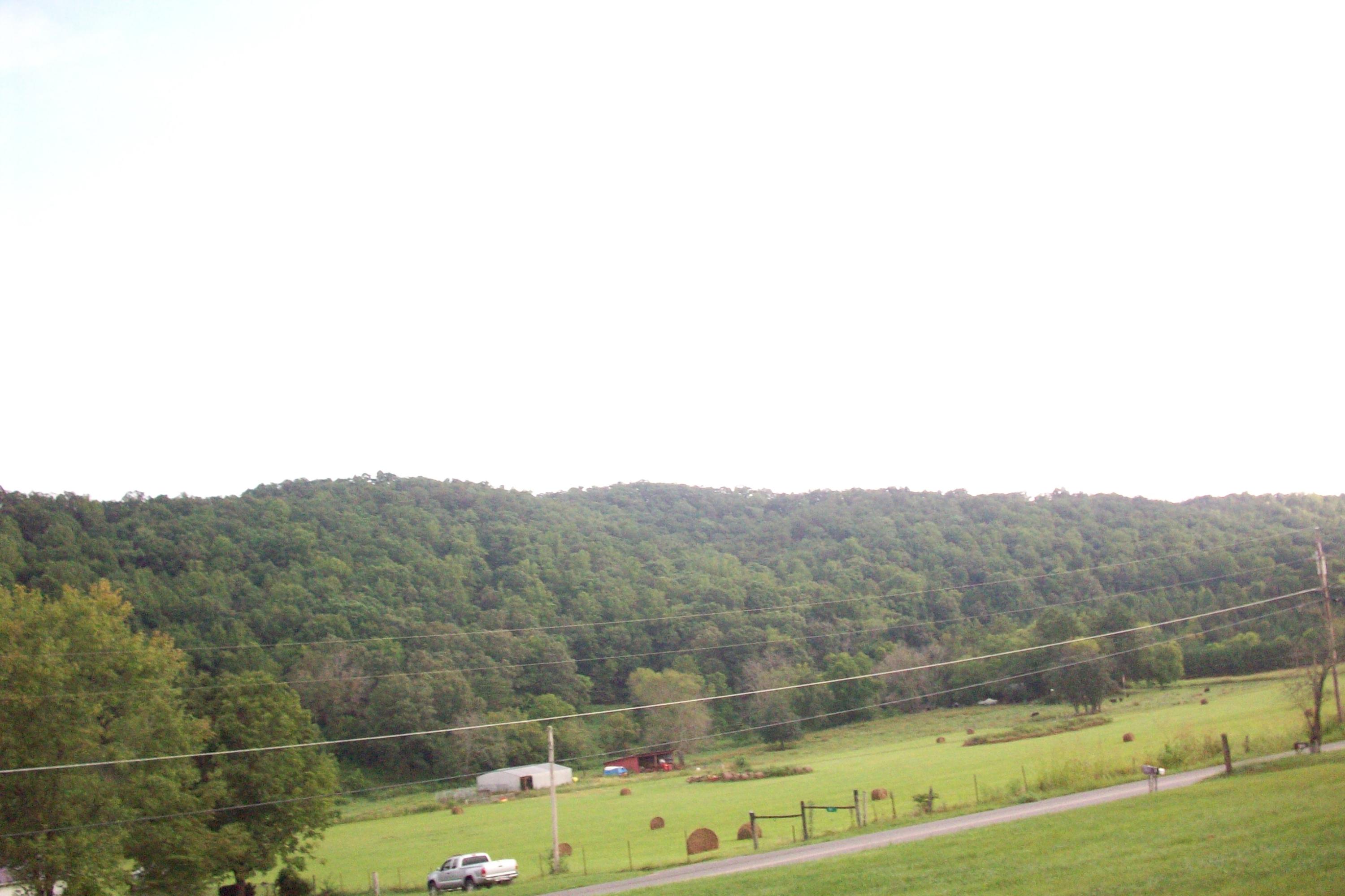 View from porch