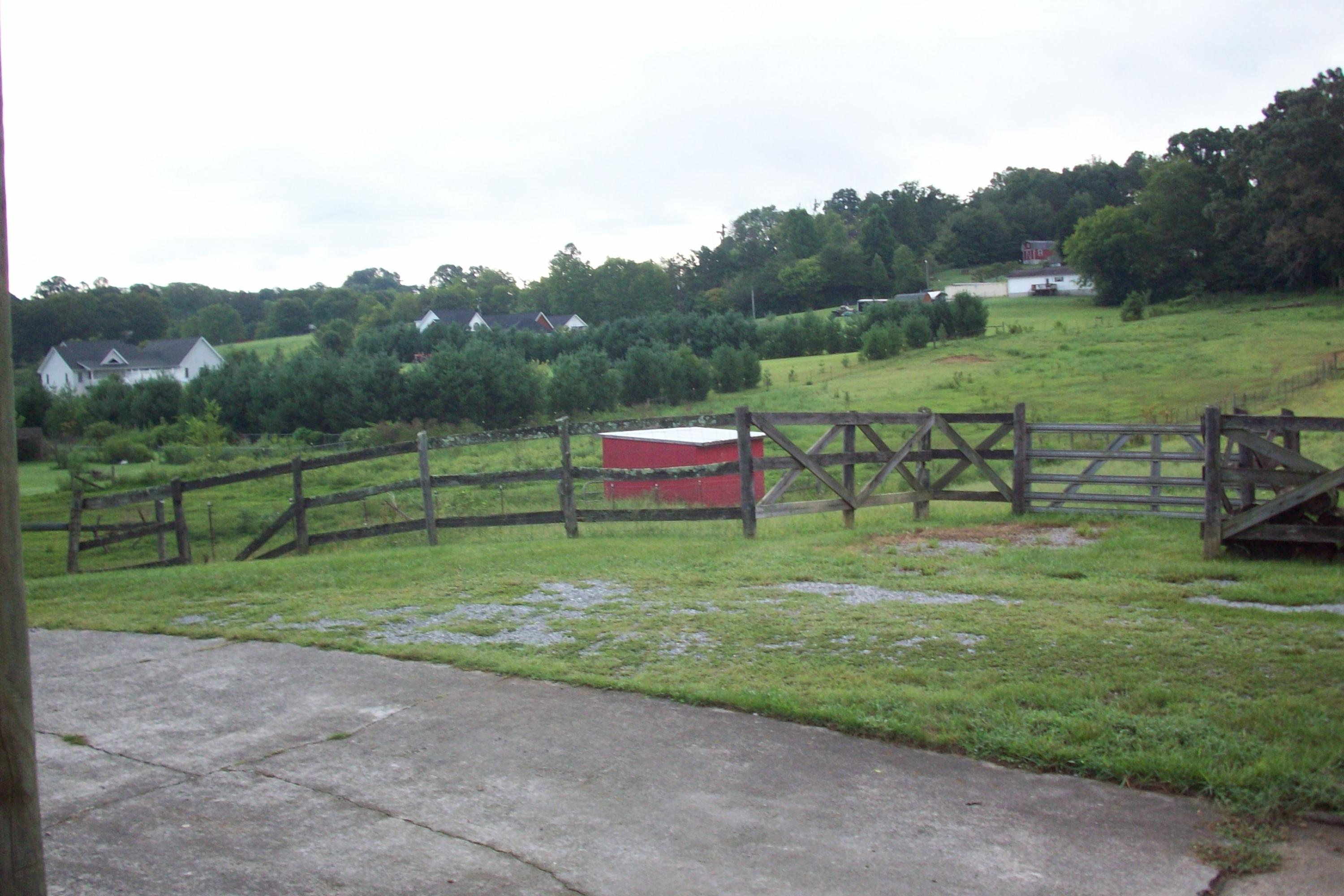 Pasture