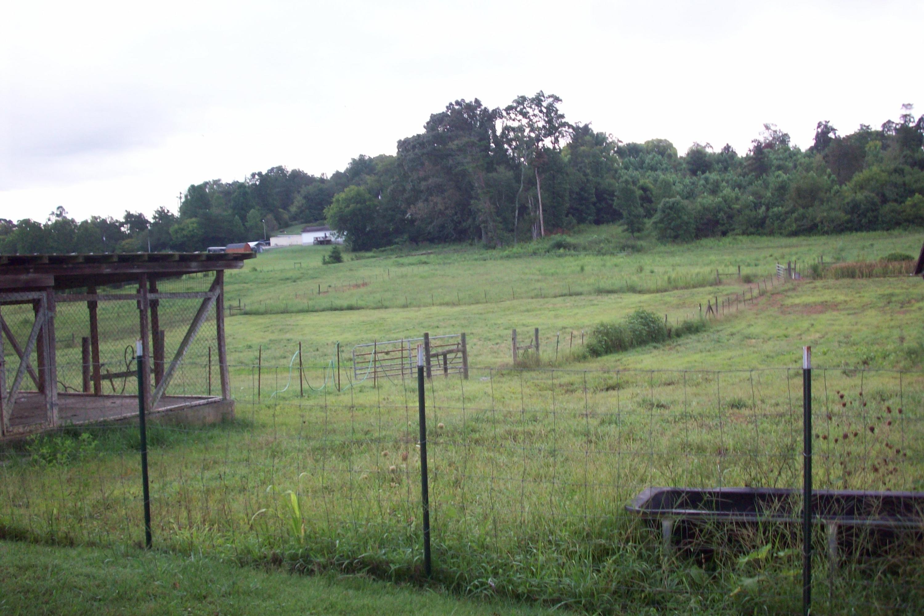4643 Nails Creek Road Rockford, TN 37853 - Photo 8 of 19 Fenced pasture