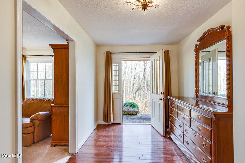 6318 Cate Road Powell, TN 37849 - Photo 8 of 42 Gallery Image 8