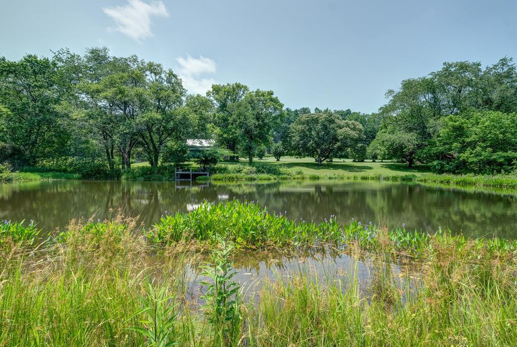 605 Shoal Creek Road Murphy, NC 28906 - Photo 60 of 75 Gallery Image 60
