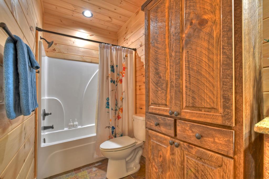 136 Oasis Drive Blue Ridge, GA 30513 - Photo 42 of 47 a bathroom with a toilet a sink and bathtub