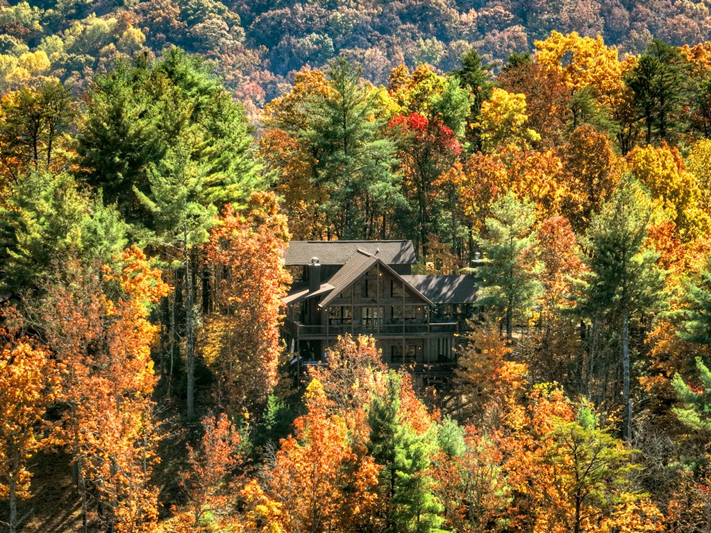 136 Oasis Drive Blue Ridge, GA 30513 - Photo 43 of 47 a view of house with a yard