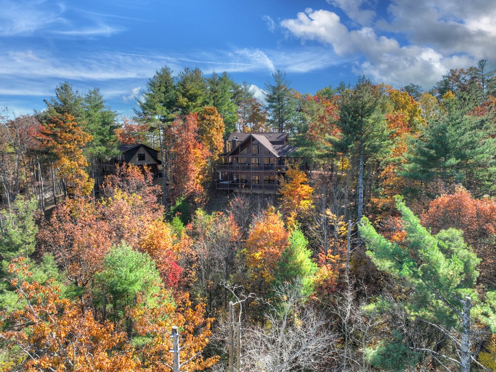 136 Oasis Drive Blue Ridge, GA 30513 - Photo 46 of 47 a view of a houses with a yard