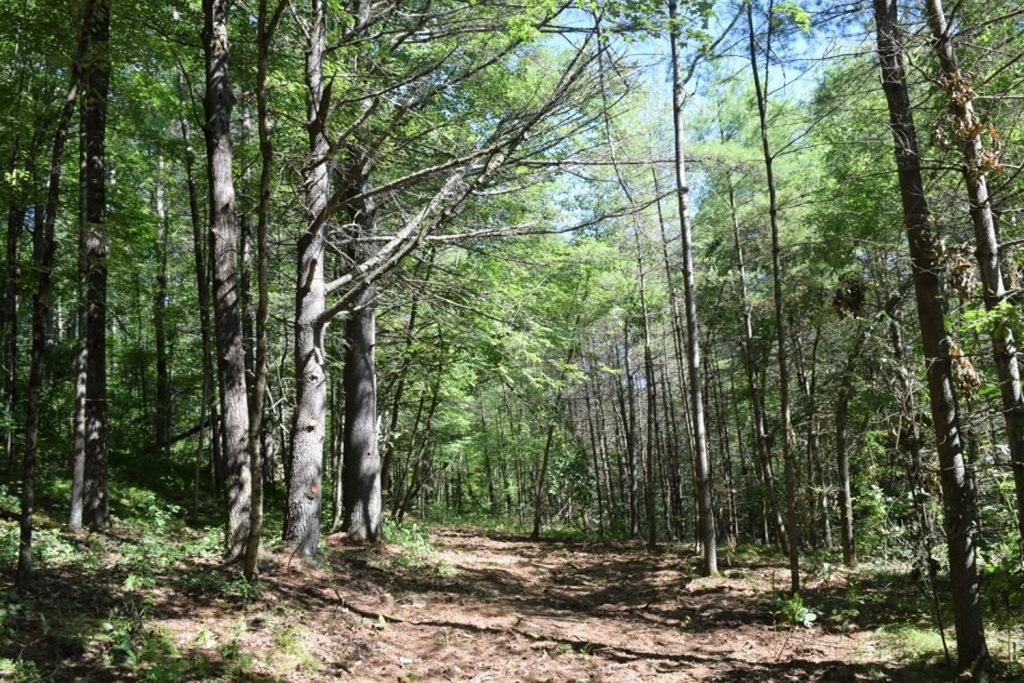 Lot 9 Lee Road Ware, MA 01082 - Photo 1 of 5