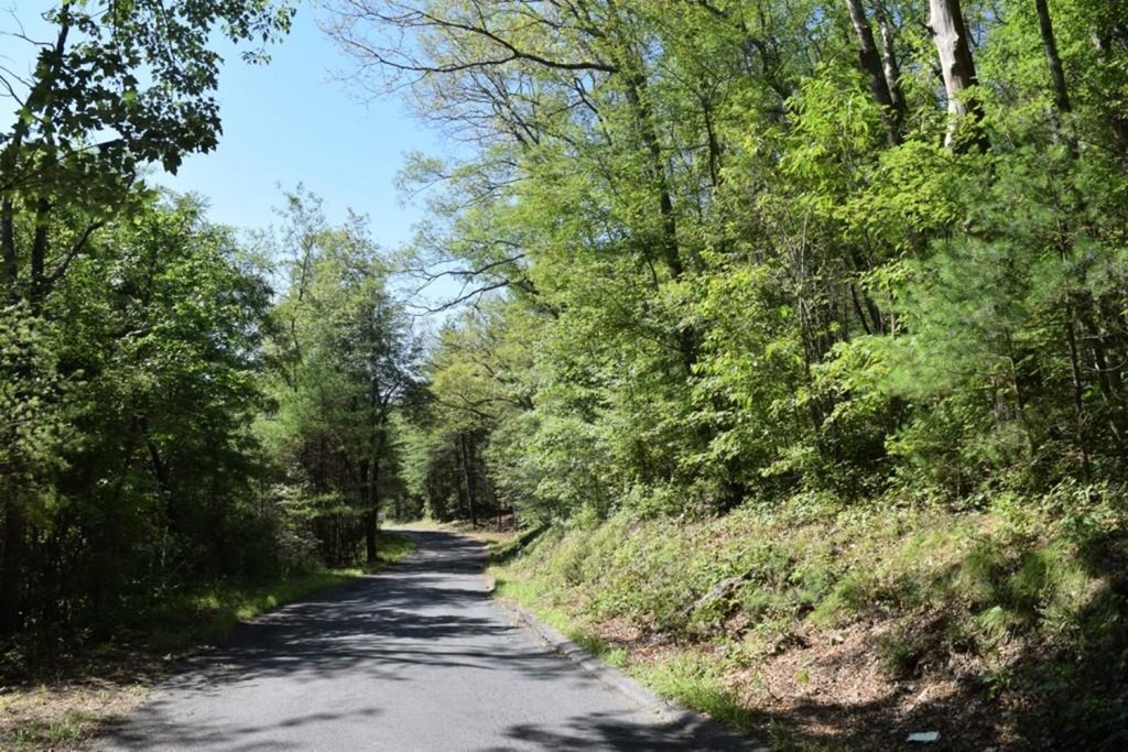 Lot 9 Lee Road Ware, MA 01082 - Photo 4 of 5