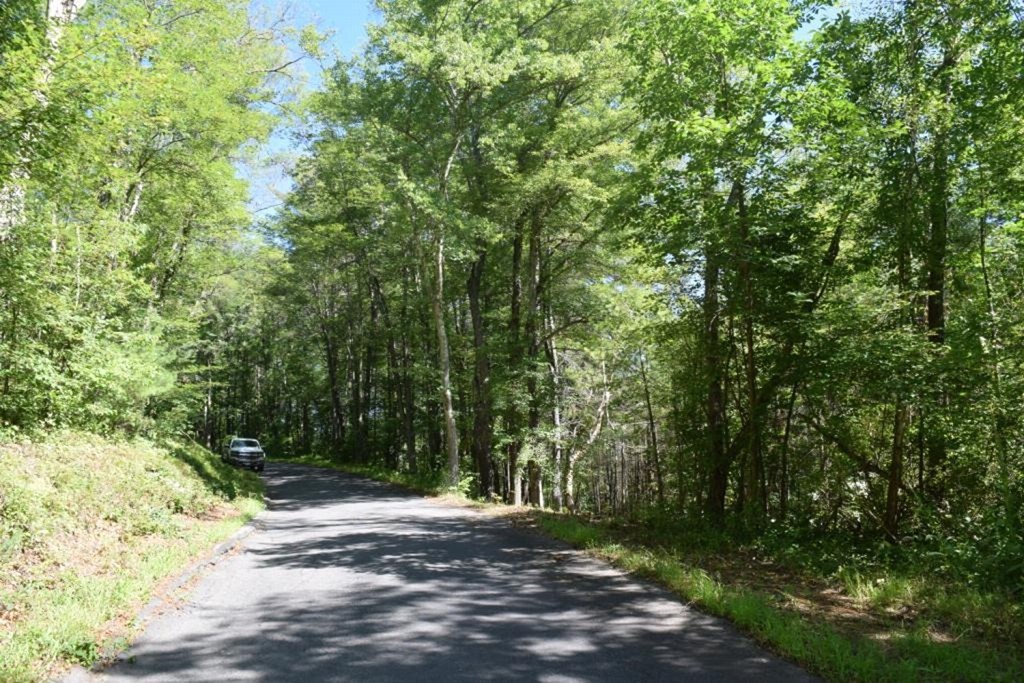 Lot 9 Lee Road Ware, MA 01082 - Photo 5 of 5