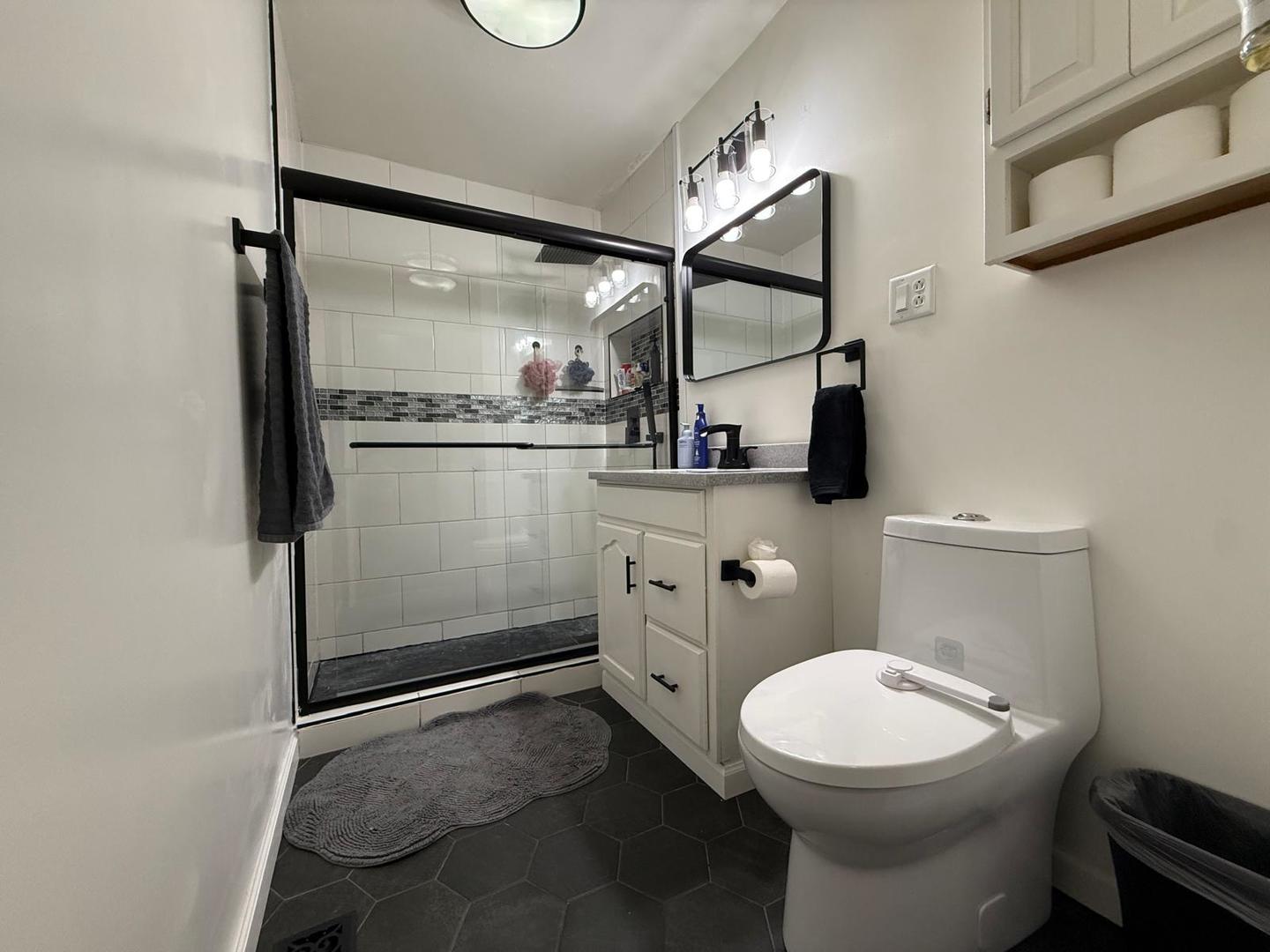 424 Rambler Place Streamwood, IL 60107 - Photo 9 of 10 a bathroom with a toilet a sink and a mirror
