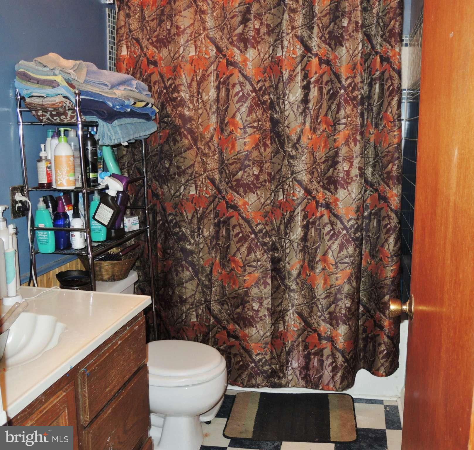 13862 Union Church Road Sumerduck, VA 22742 - Photo 17 of 20 Hall Bathroom