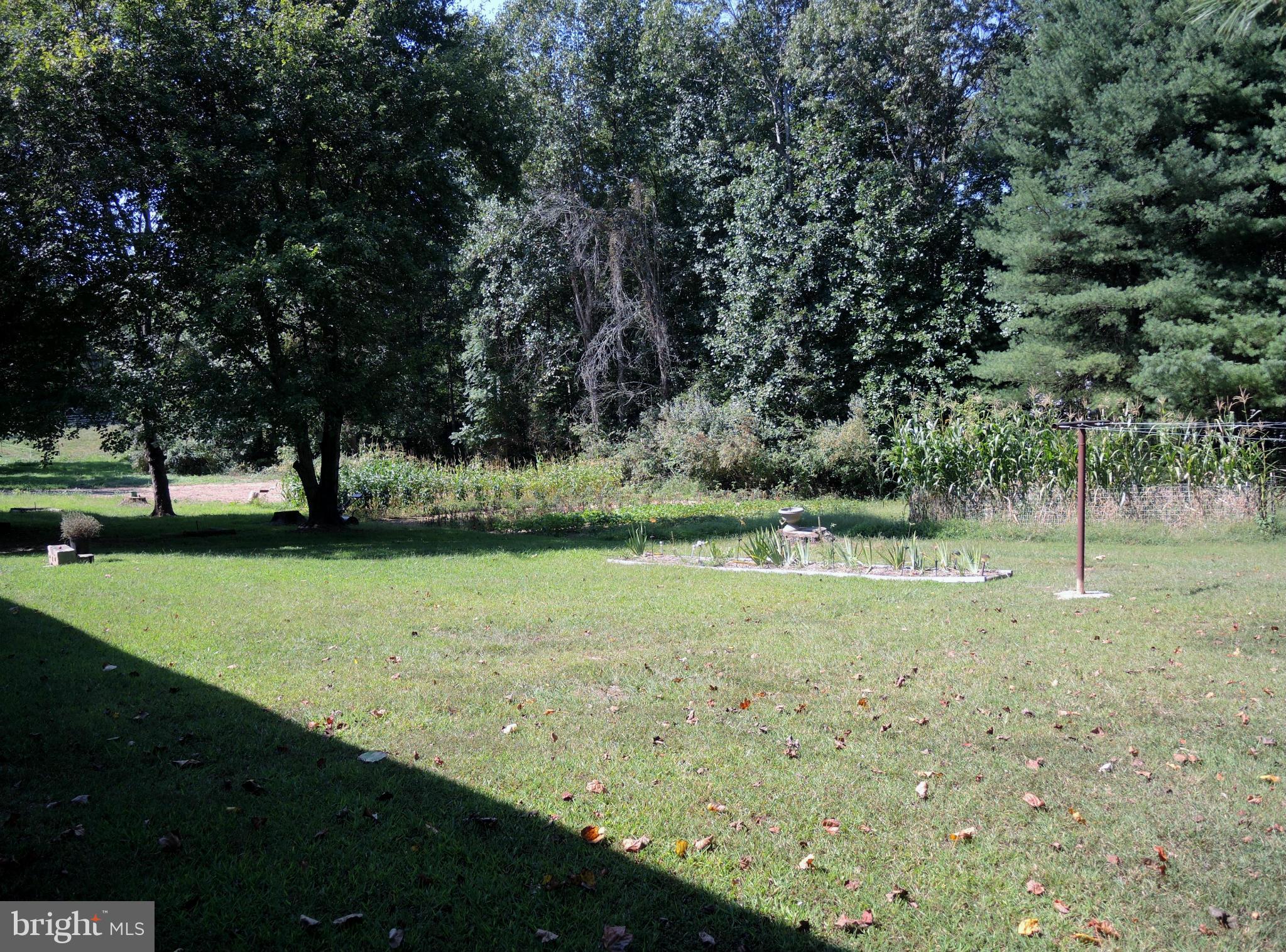 13862 Union Church Road Sumerduck, VA 22742 - Photo 18 of 20 Large Back Garden Area