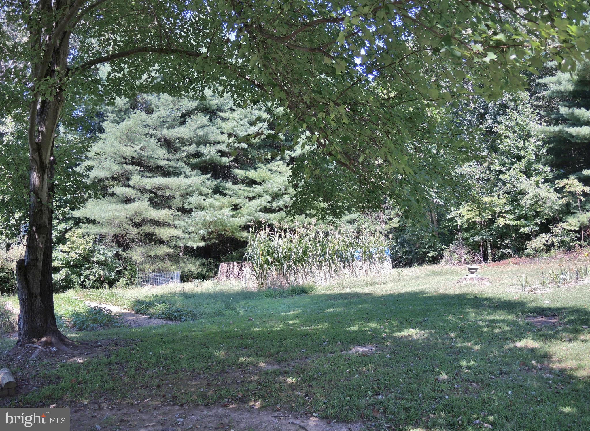 13862 Union Church Road Sumerduck, VA 22742 - Photo 19 of 20 View from Back