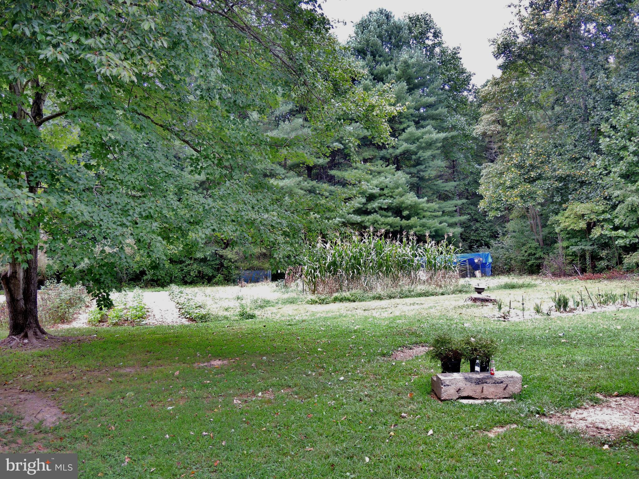 13862 Union Church Road Sumerduck, VA 22742 - Photo 4 of 20 Backyard