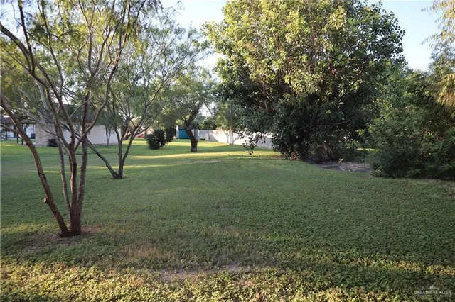 a view of a park with large trees