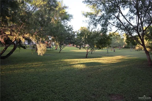 a view of a park with a tree