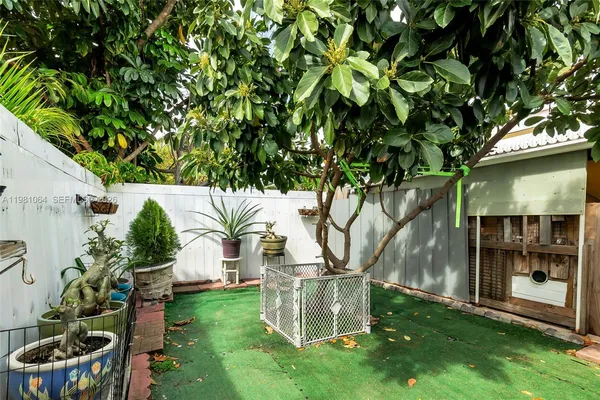 a view of a garden with plants