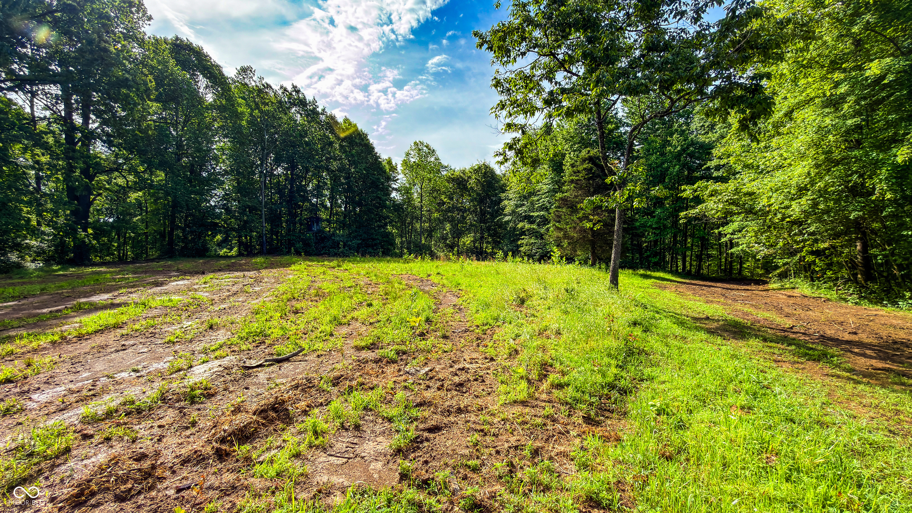 0 Beech Tree Road Nineveh, IN 46164 - Photo 49 of 81