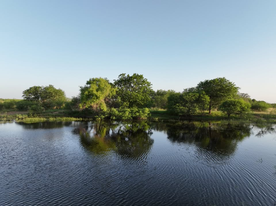 Lot 9 Concrete-Edgar Road Cuero, TX 77954 - Photo 6 of 7 a view of lake