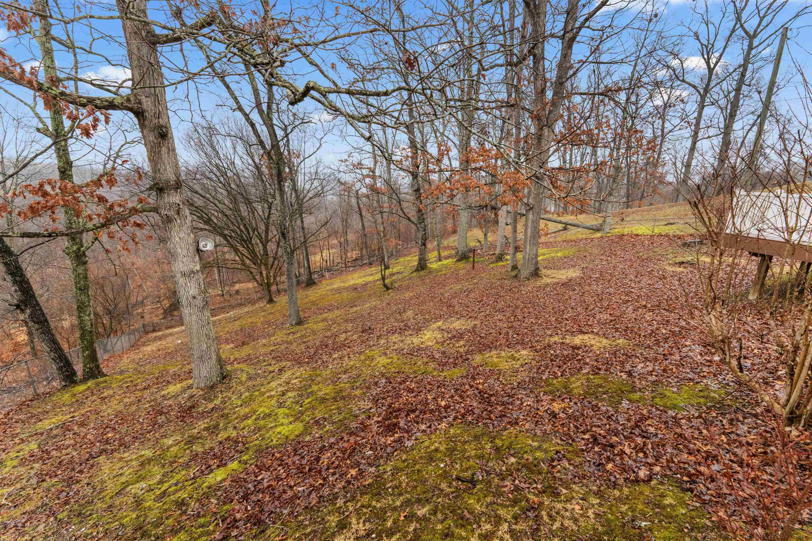 9033 Tipton Ross Road Ashland, KY 41102 - Photo 28 of 28 Gallery Image 28